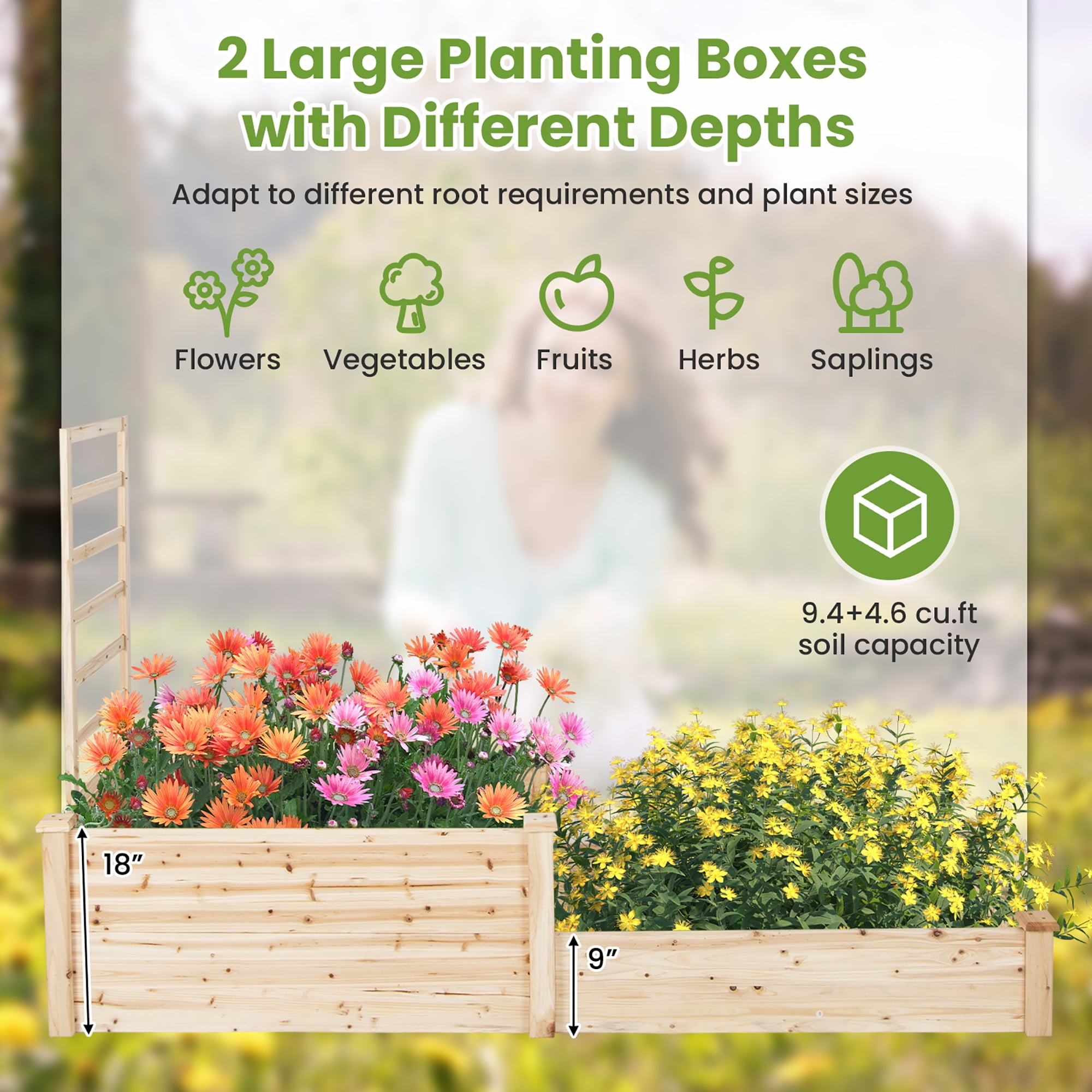 Gymax Raised Garden Bed w/ 2 Planter Boxes & Trellis Outdoor Wooden Planter Box Kit for Sapling - Image 7