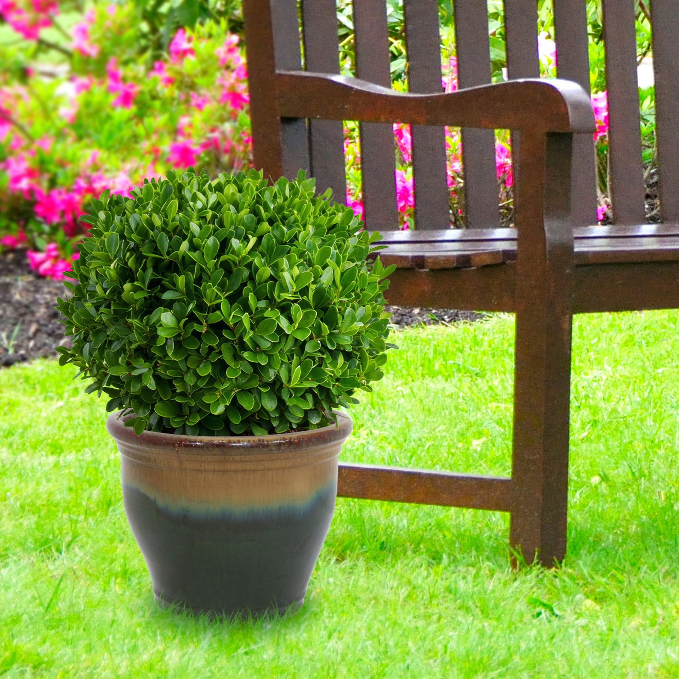 Sunnydaze Studio 15" x 15" x 12.5" Round Forest Lake Green Ceramic Outdoor Planter - Image 4