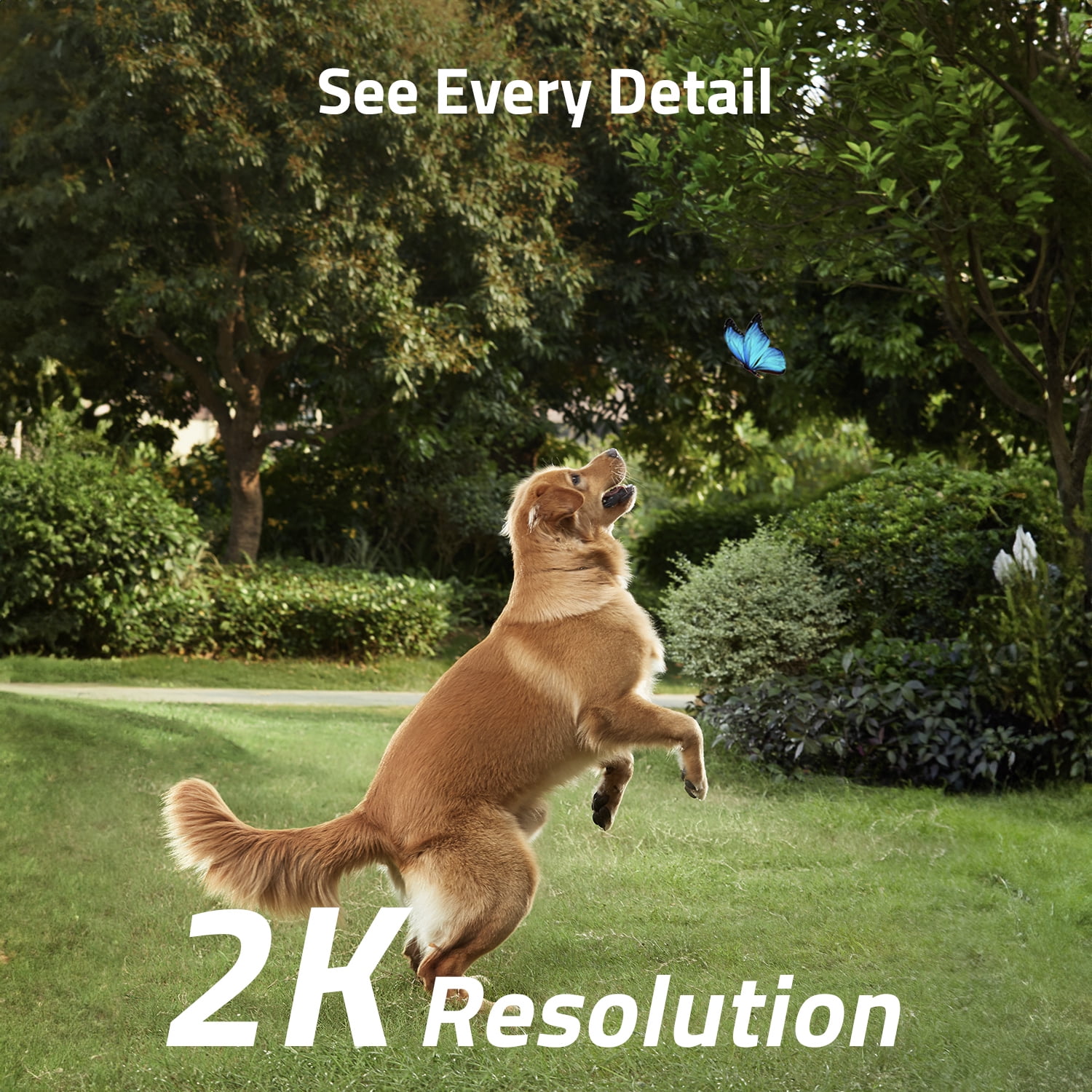 eufy SoloCam S230 Wireless 2K Solar Powered Camera w/Spotlight, No Monthly Fee - Image 3