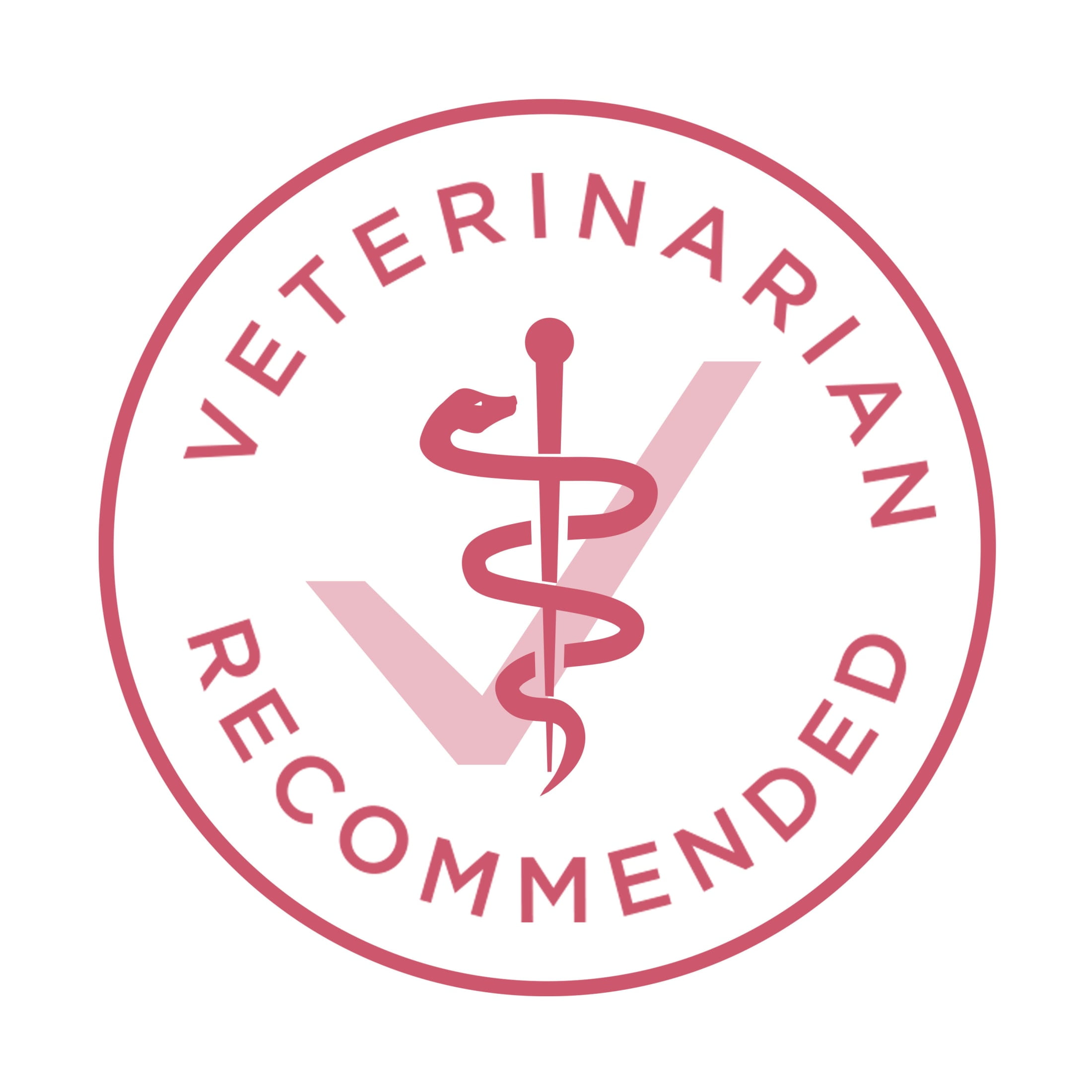 Purina ONE Plus Dry Dog Food Skin & Health Formula, High Protein Rich Natural Salmon, 31.1 lb Bag - Image 5