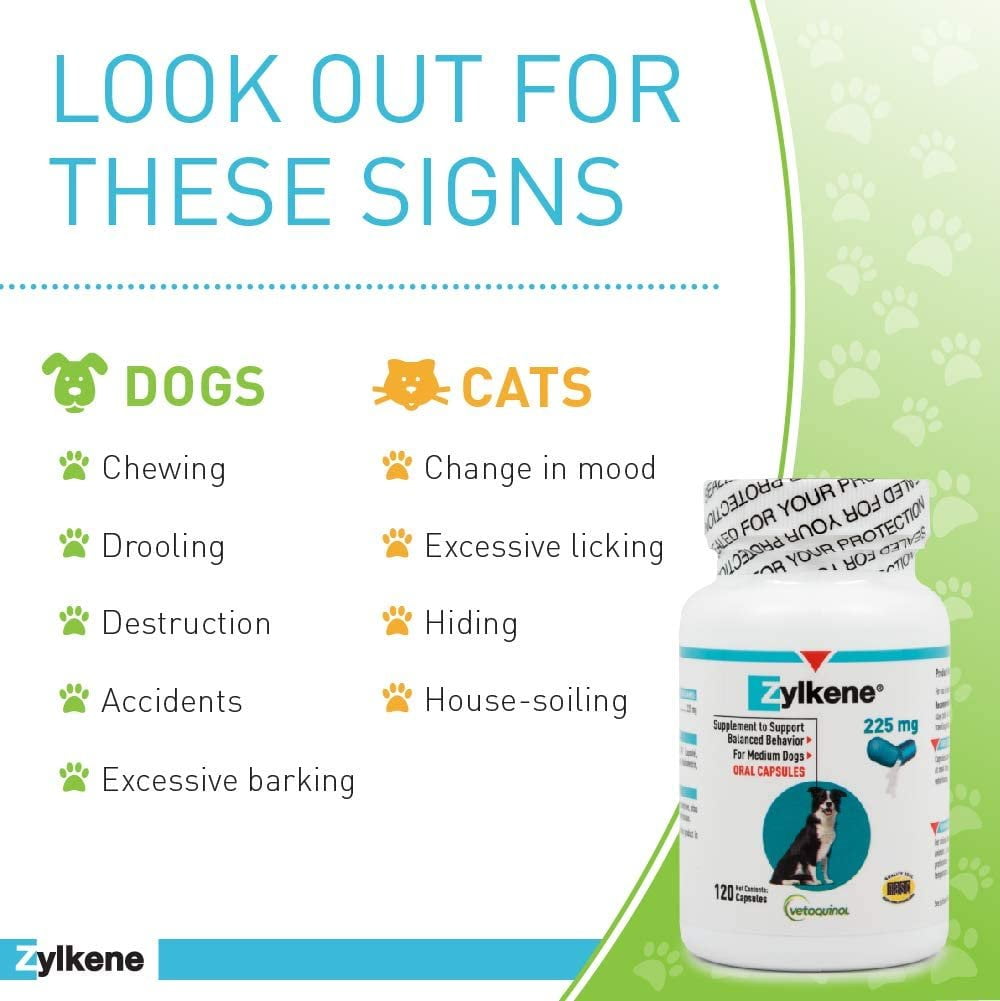 Vetoquinol Zylkene Calming Behavior Support Supplement, Helps Promote Relaxation and Reduce External Stress Factors, Daily Behavioral Support and Anxiety Relief, Dog or Cat, 22-65lbs, 225mg, 120ct - Image 5