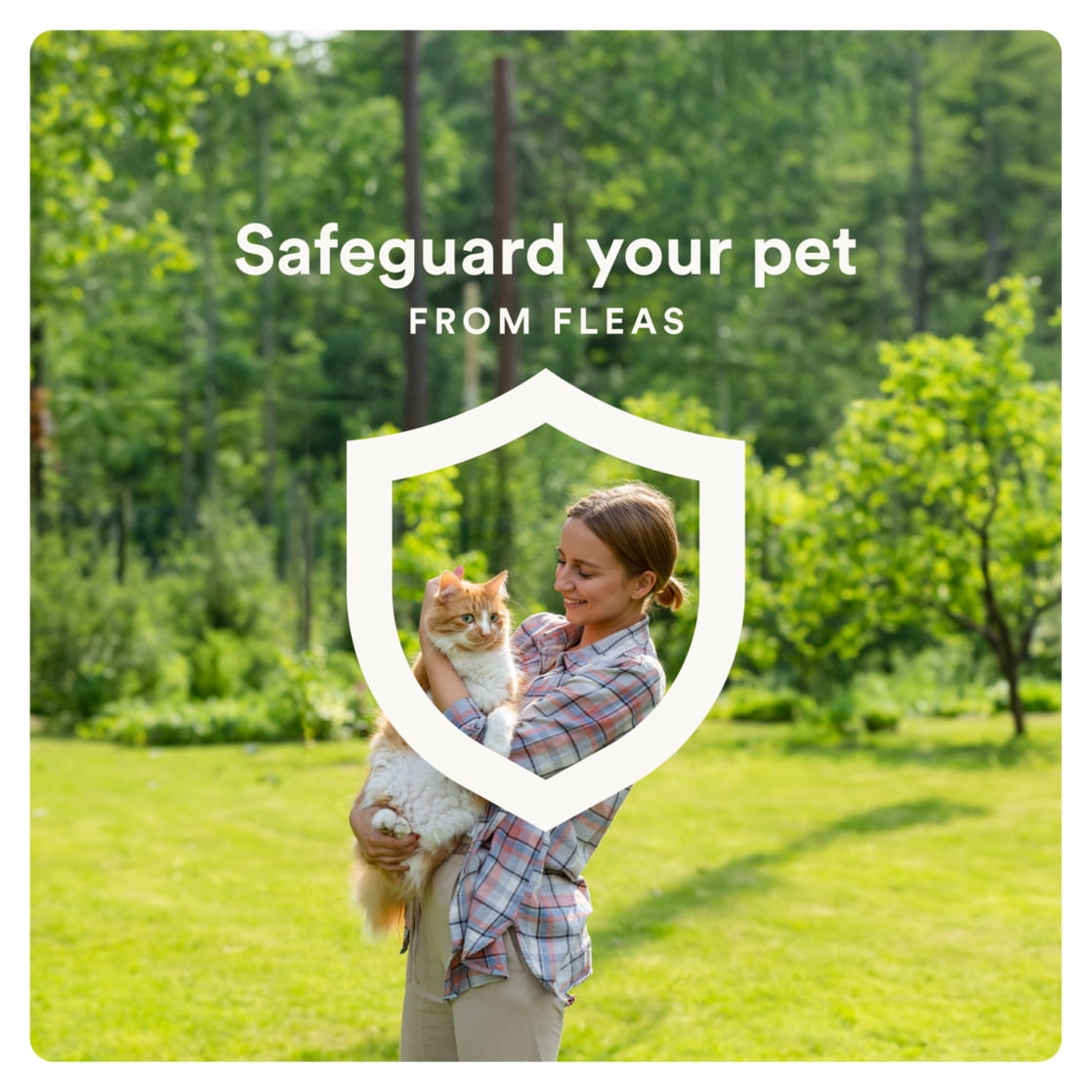 (3 pack) Advecta Plus Flea Protection for Large Cats, Fast-Acting Topical Flea Prevention, 4 Count - Image 9