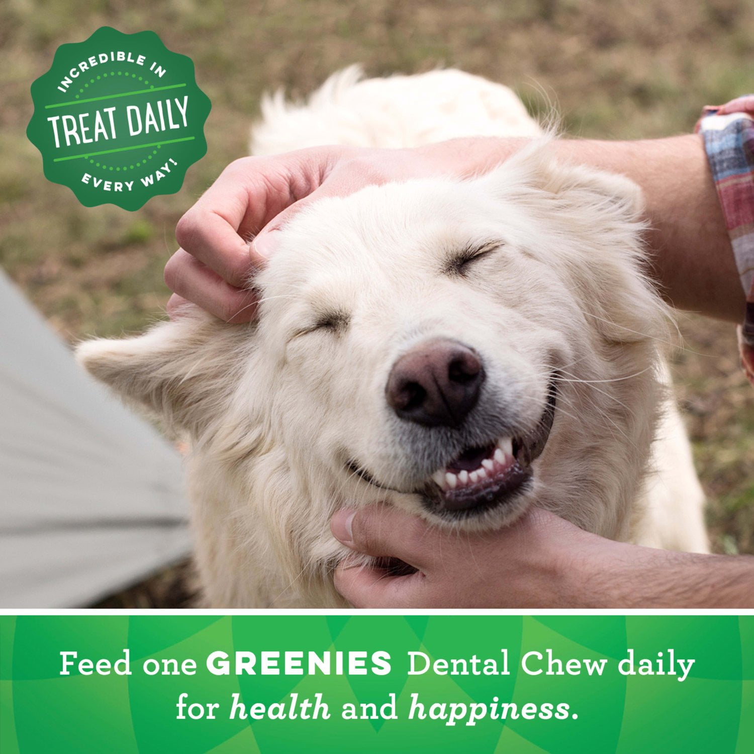 Greenies Original Flavor Dental Treats for Dogs, 18 oz Pouch (4 Pack), Shelf-Stable - Image 7