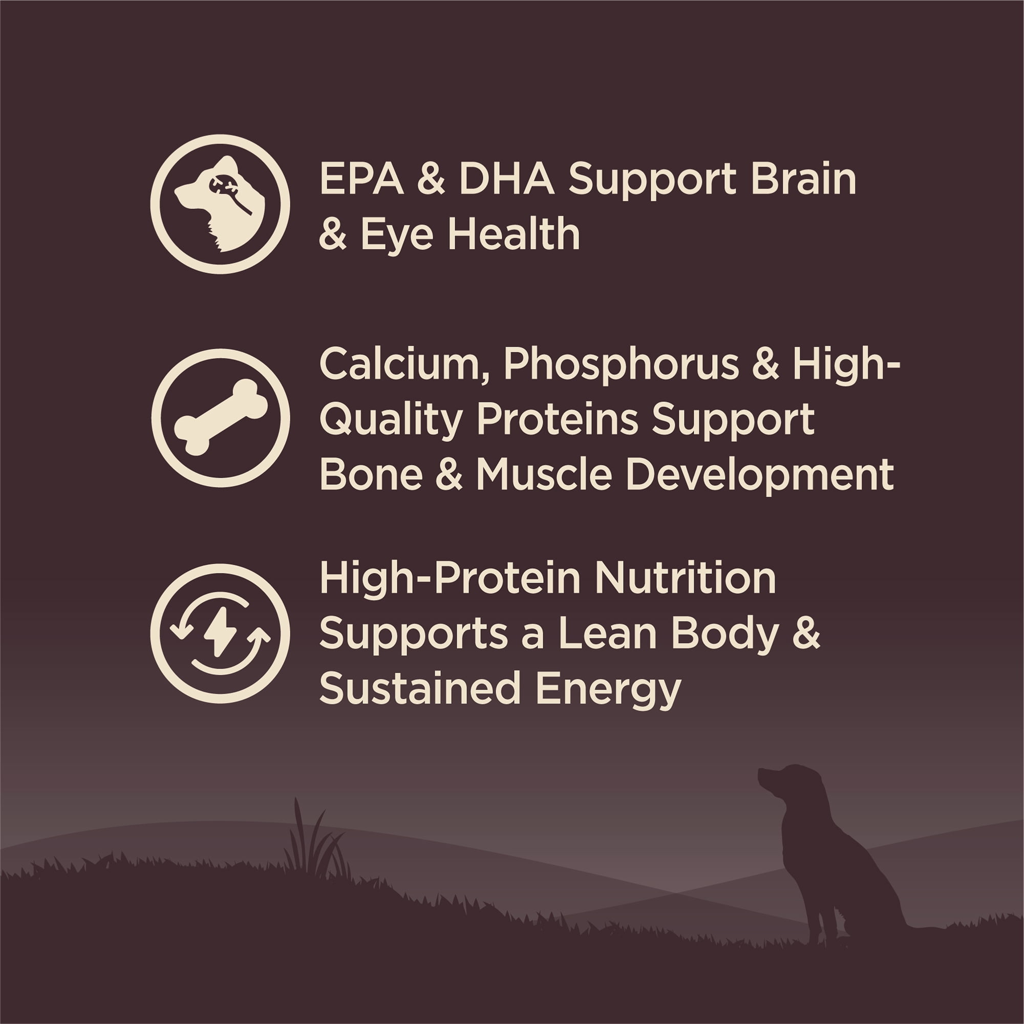 Wellness CORE Puppy Dry Dog Food, Large Breed, Grain Free, High Protein, Natural, Chicken & Turkey Recipe (24-Pound Bag) - Image 6