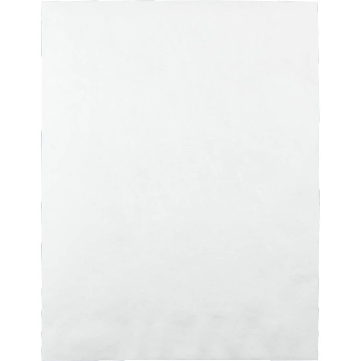 Survivor Tyvek Mailer, 10 x 13, White, 100/Box - Image 2
