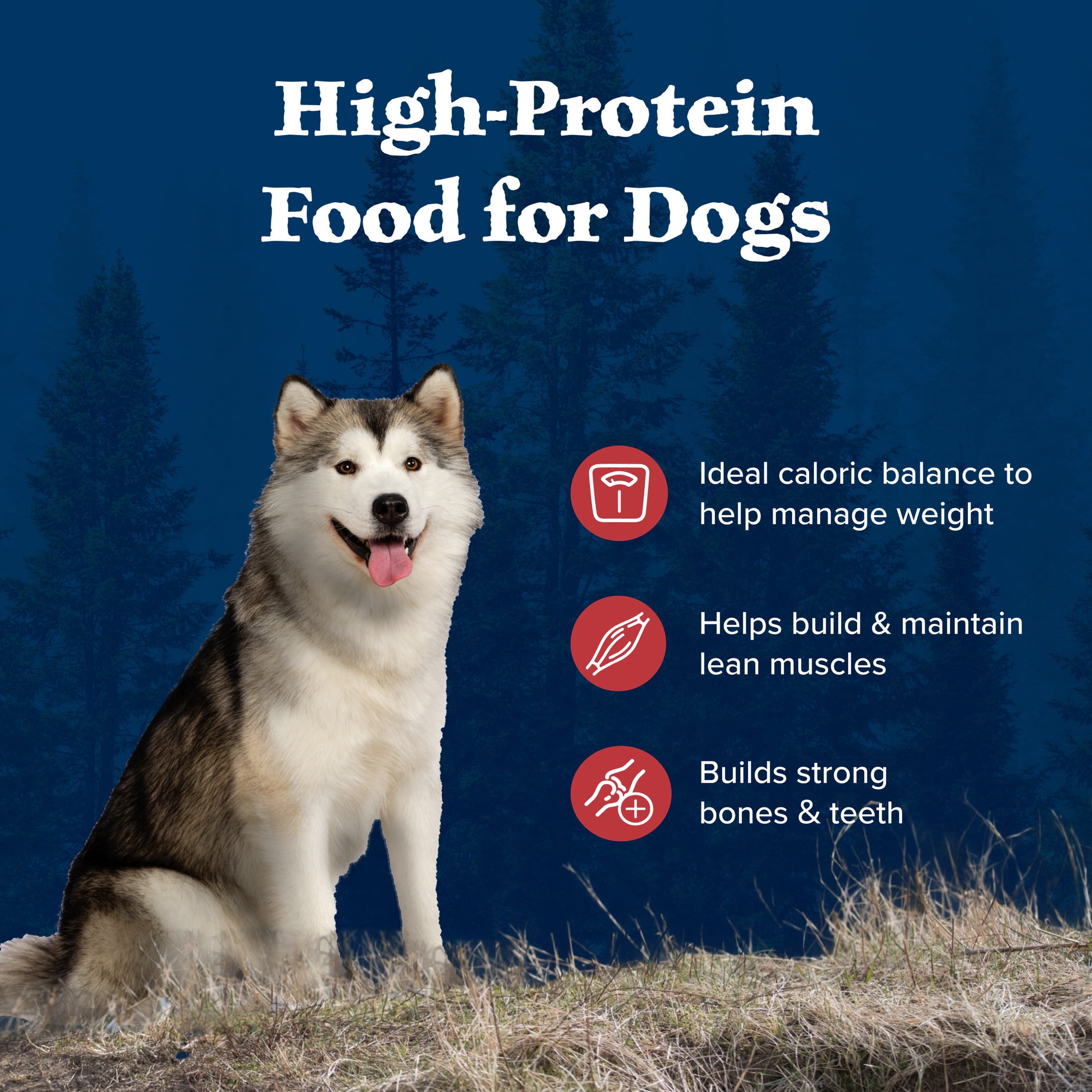 Blue Buffalo Wilderness Rocky Mountain Recipe Healthy Weight Dry Dog Food, Red Meat, 28-lb - Image 5