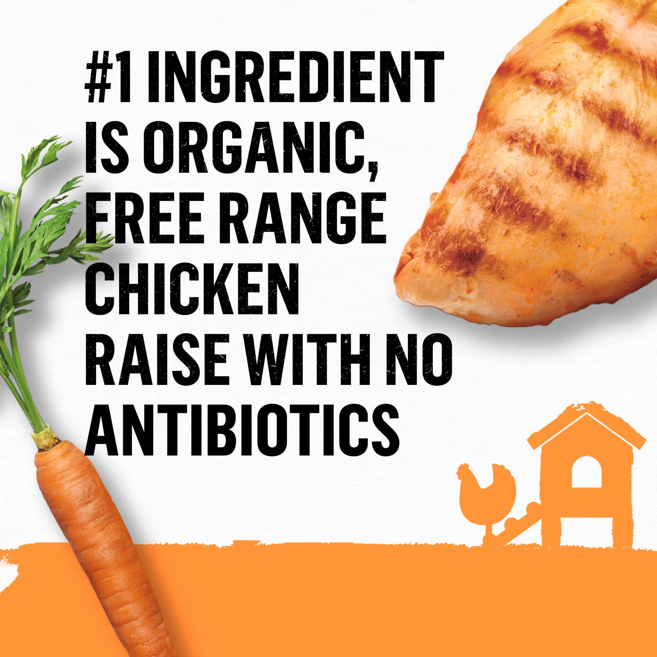 (2 pack) Purina Beyond, Chicken & Carrot, Wet Cat Food, 3 oz Cans, 12 Count - Image 7