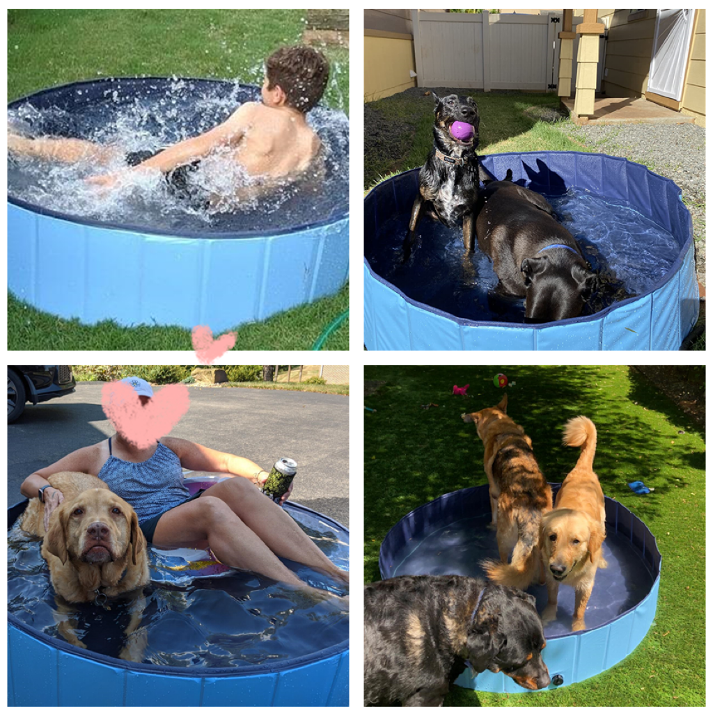 Outdoor Foldable Pet Dog Swimming Pool with Pool Cover,48” Portable Dog Pool for Large Dogs Bathing Tub Kiddie Pool,XL - Image 8