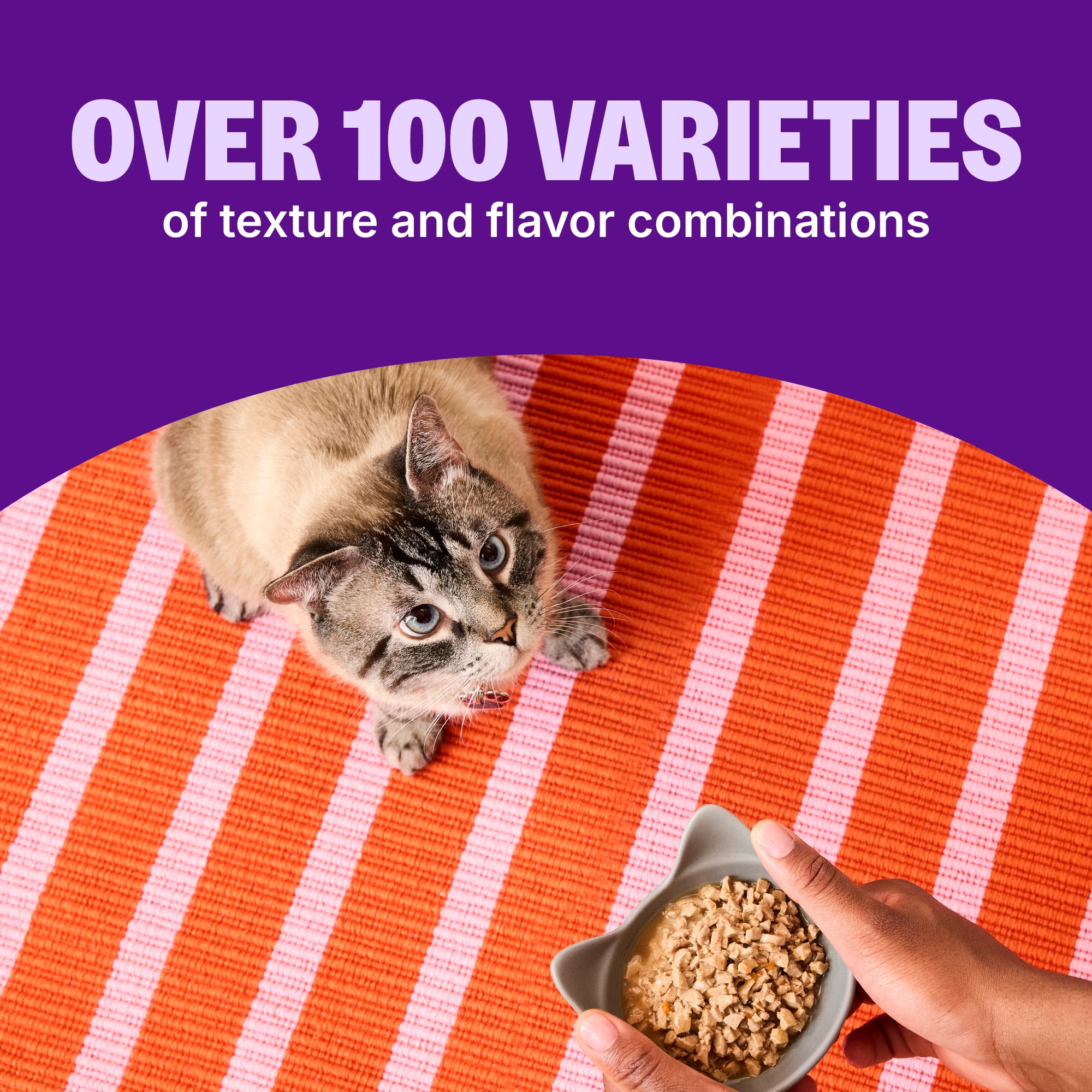 Wellness CORE Signature Selects Flaked Adult Wet Cat Food, Natural, Protein-Rich, Grain Free, 5.3 Ounce, 12 Pack (Skipjack Tuna & Shrimp) - Image 10