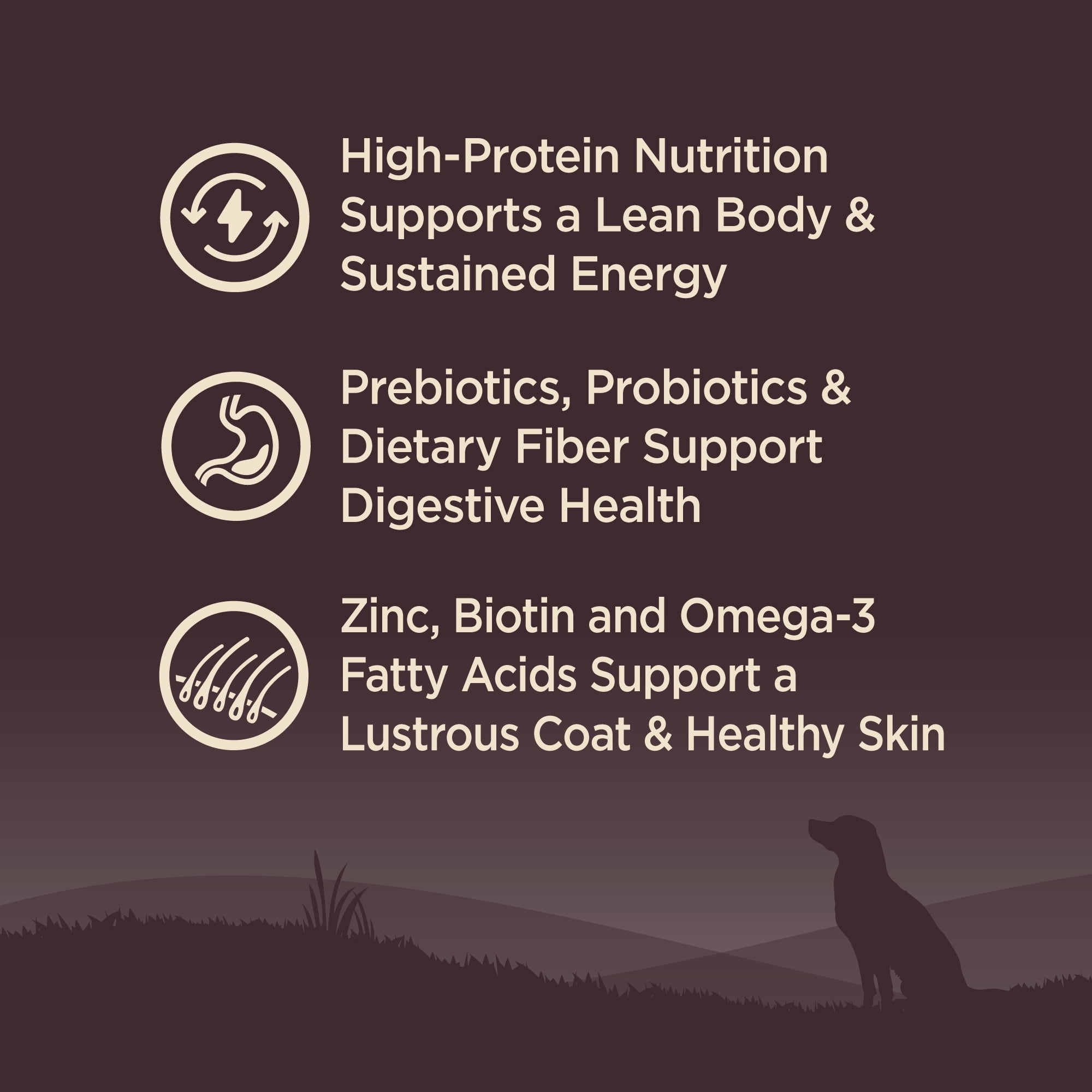 Wellness CORE Dry Dog Food, Grain Free, High Protein, Natural, Original Turkey & Chicken Recipe, (12-Pound Bag) - Image 6