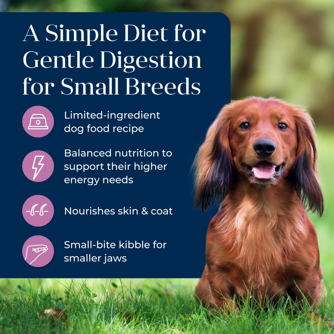 Blue Buffalo Basics Small Breed Adult Dry Dog Food, Skin & Stomach Care, Turkey, 11lb - Image 3