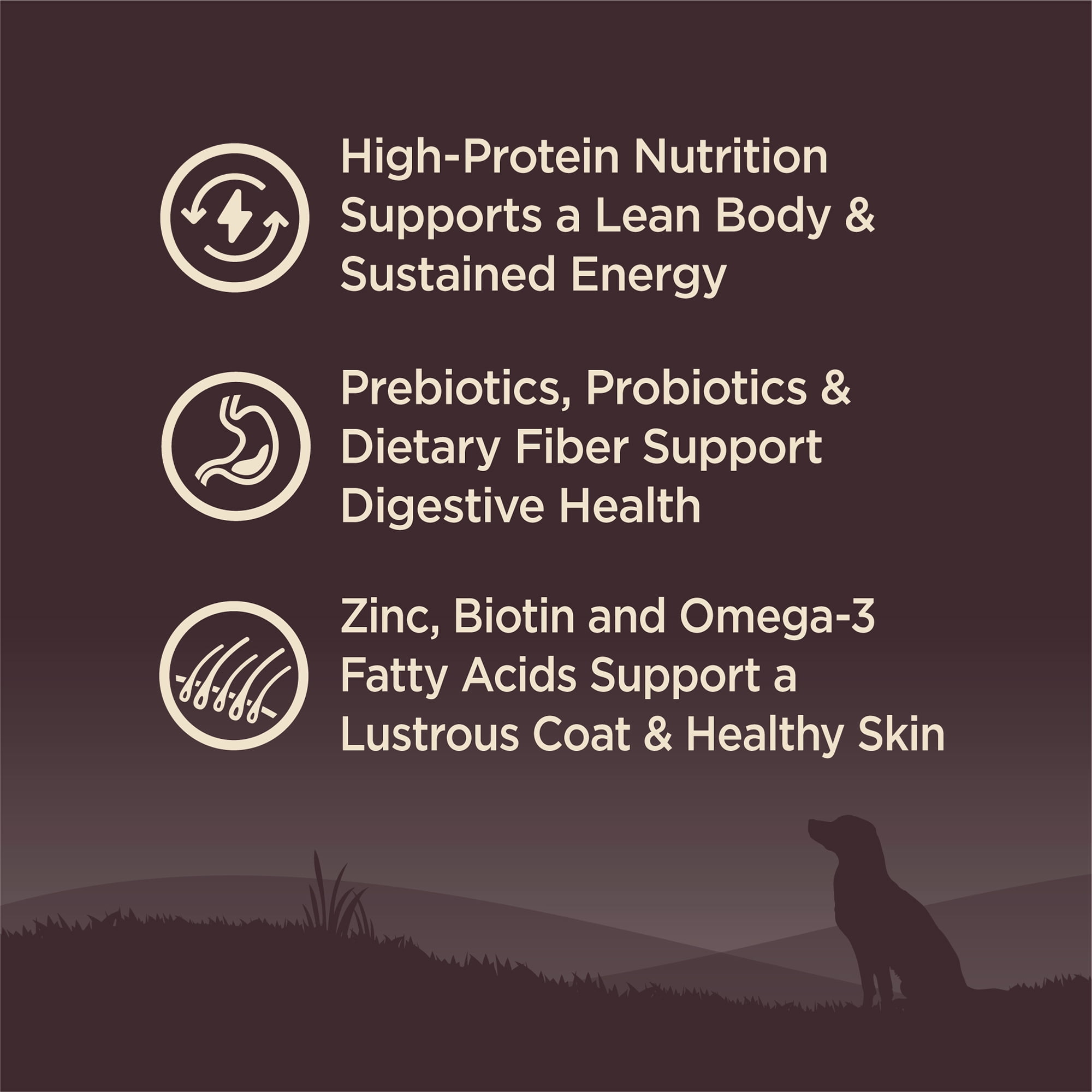 Wellness CORE Dry Dog Food, Grain Free, High Protein, Natural, Wild Game Duck, Lamb, Wild Boar, & Rabbit Recipe, (26-Pound Bag) - Image 5