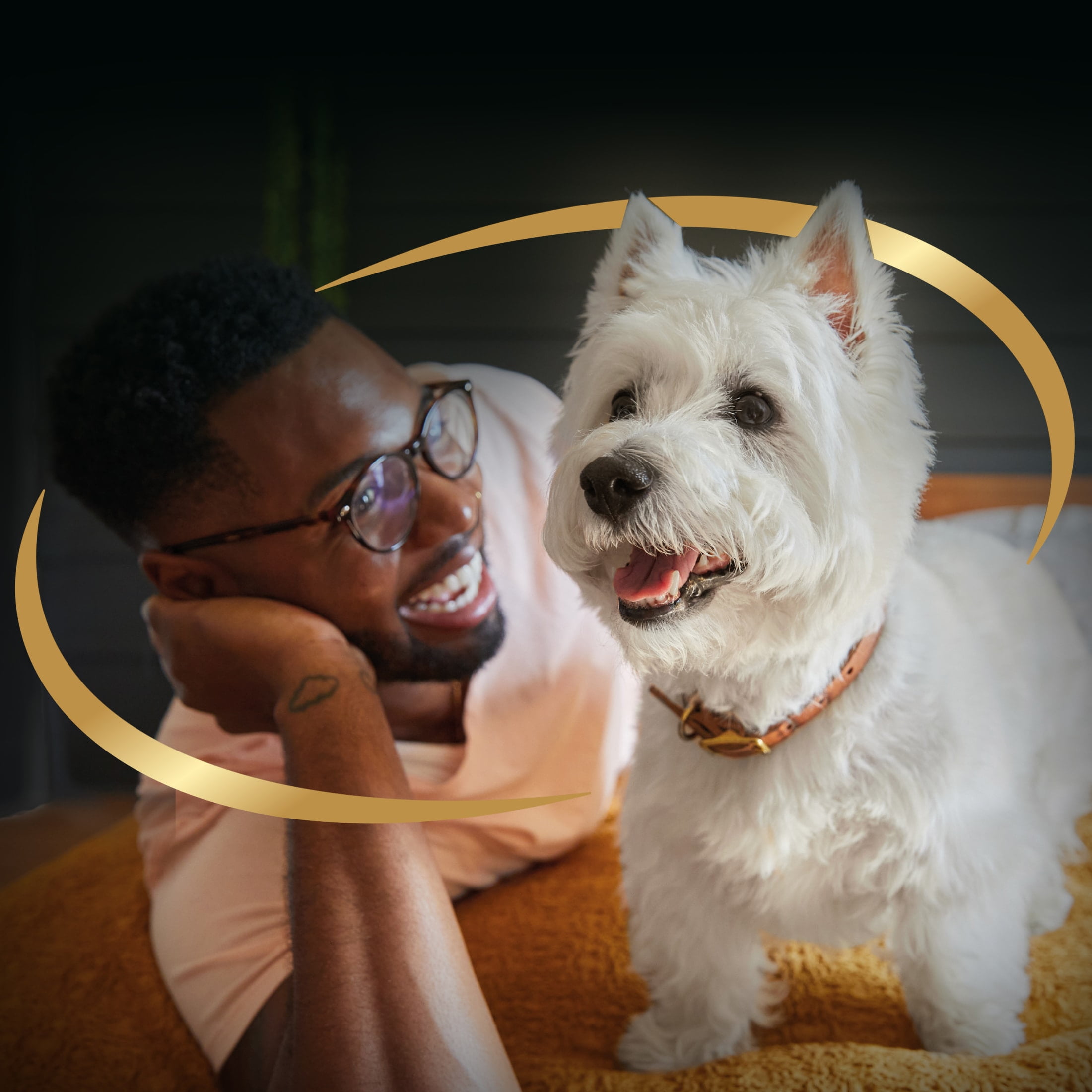 Cesar Steak And Chicken Lovers Wet Dog Food Variety Pack, 3.5 Oz Trays (36 Pack) - Image 7