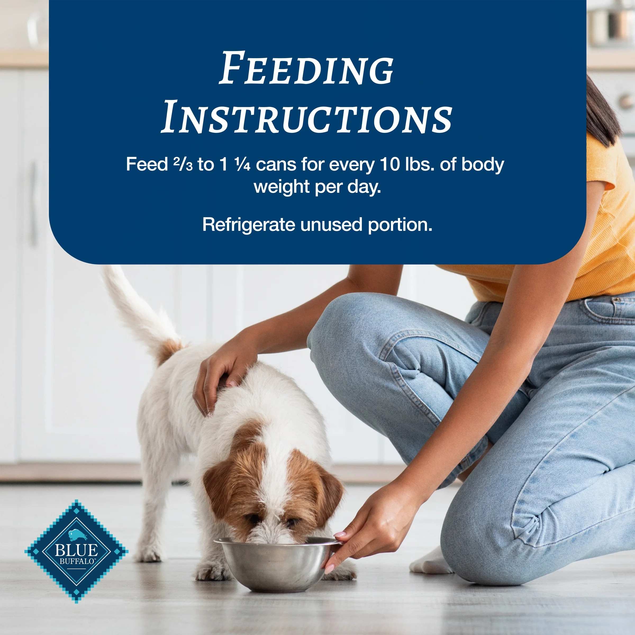 (4 pack) Blue Buffalo Family Favorites Natural Adult Wet Dog Food, Sunday Chicken 12.5-oz can (Pack of 12) - Image 11