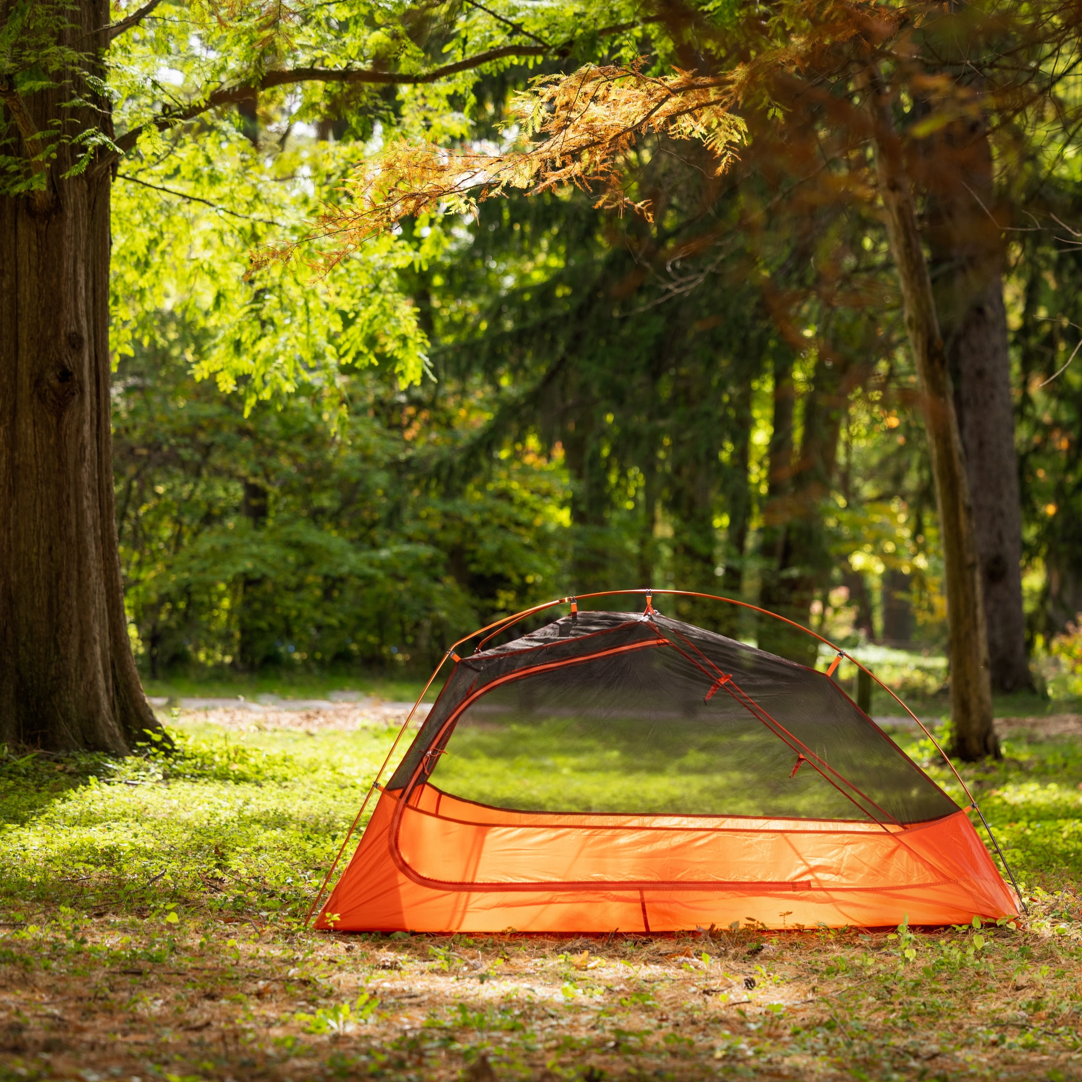 Ozark Trail 1-Person Lightweight Backpacking Tent, 82 in. x 51 in., 3.65 lb. Carry Weight, Orange - Image 5
