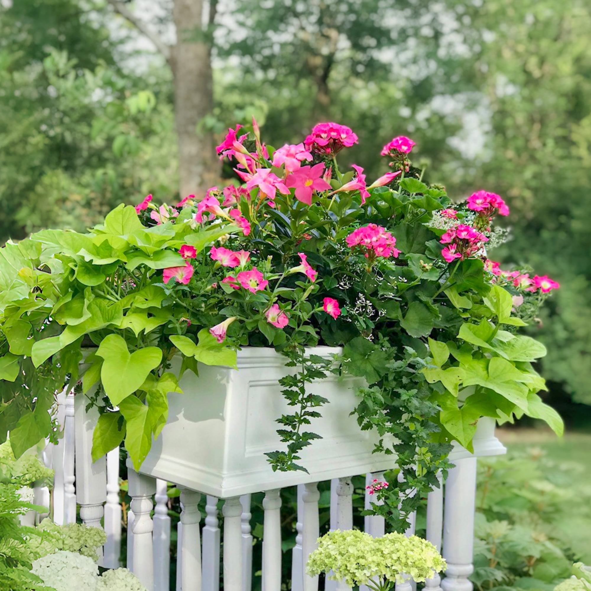 Mayne Fairfield 36" x 11" x 11" Rectangular White Self Watering Plastic Window Box Planter - Image 2