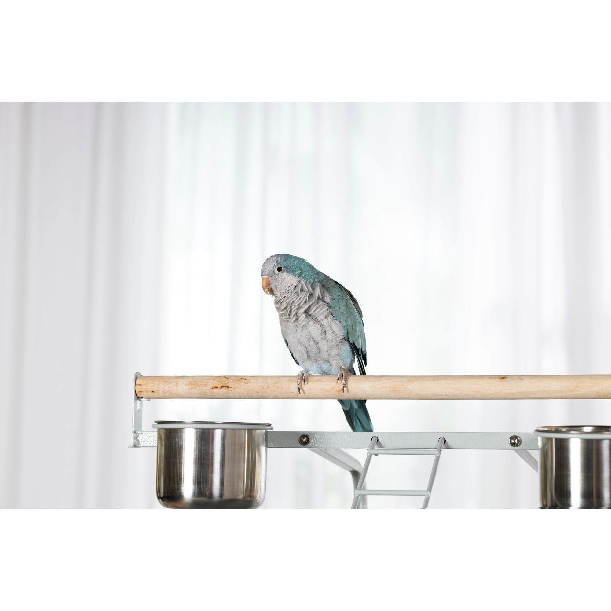 Prevue Pet Products Select Wrought Iron Parrot Bird Cage 24x20x60", Pewter - Image 14