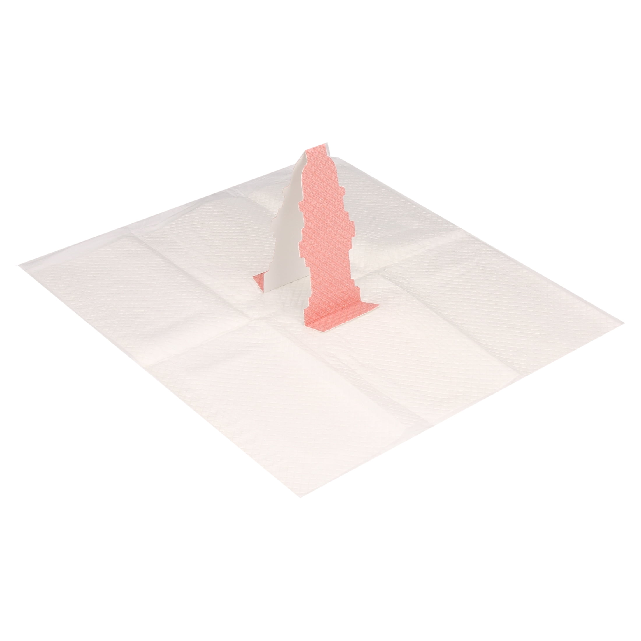 Rocky & Maggie's Pop-Up Puppy Pee Pad with Hydrant Target for Potty Training - Image 3