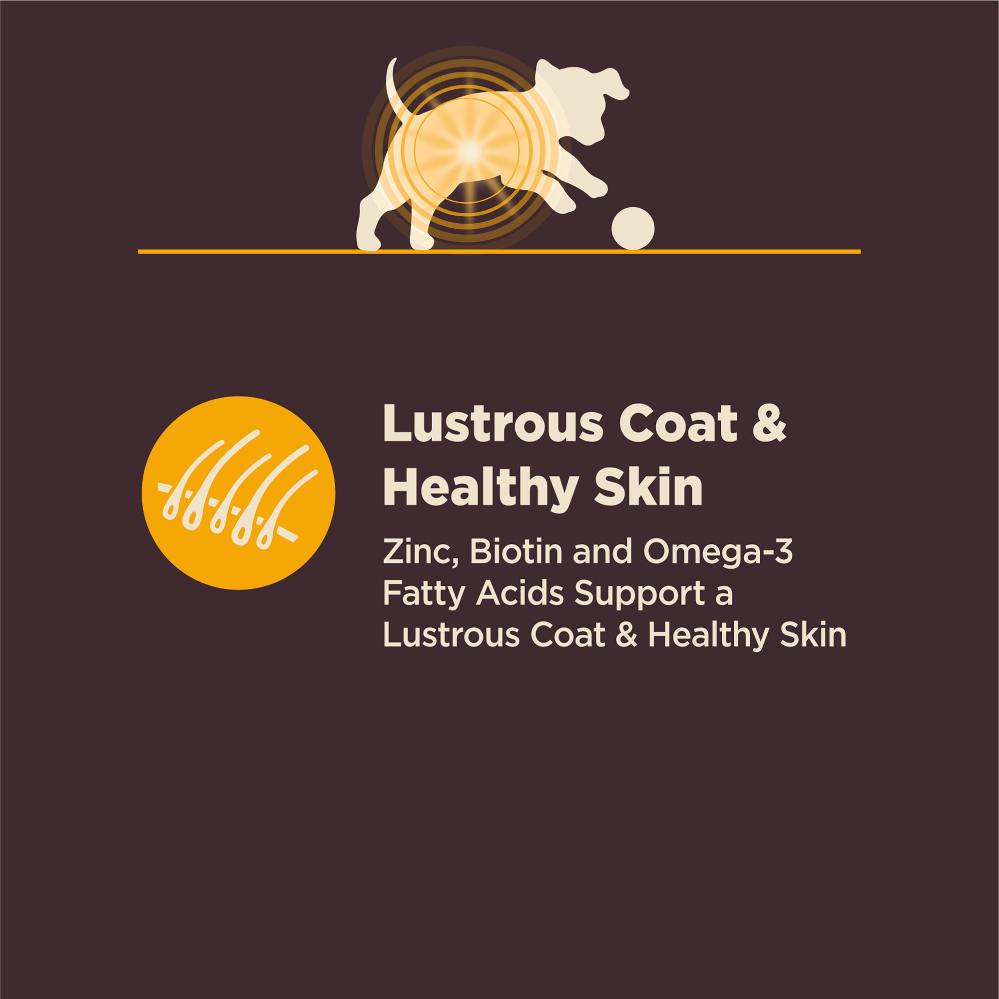 Wellness CORE Digestive Health Puppy Dry Dog Food, Wholesome Grains, Natural, High Quality Ingredients for Dogs with Sensitive Stomachs, Chicken Recipe, (24-Pound Bag) - Image 3