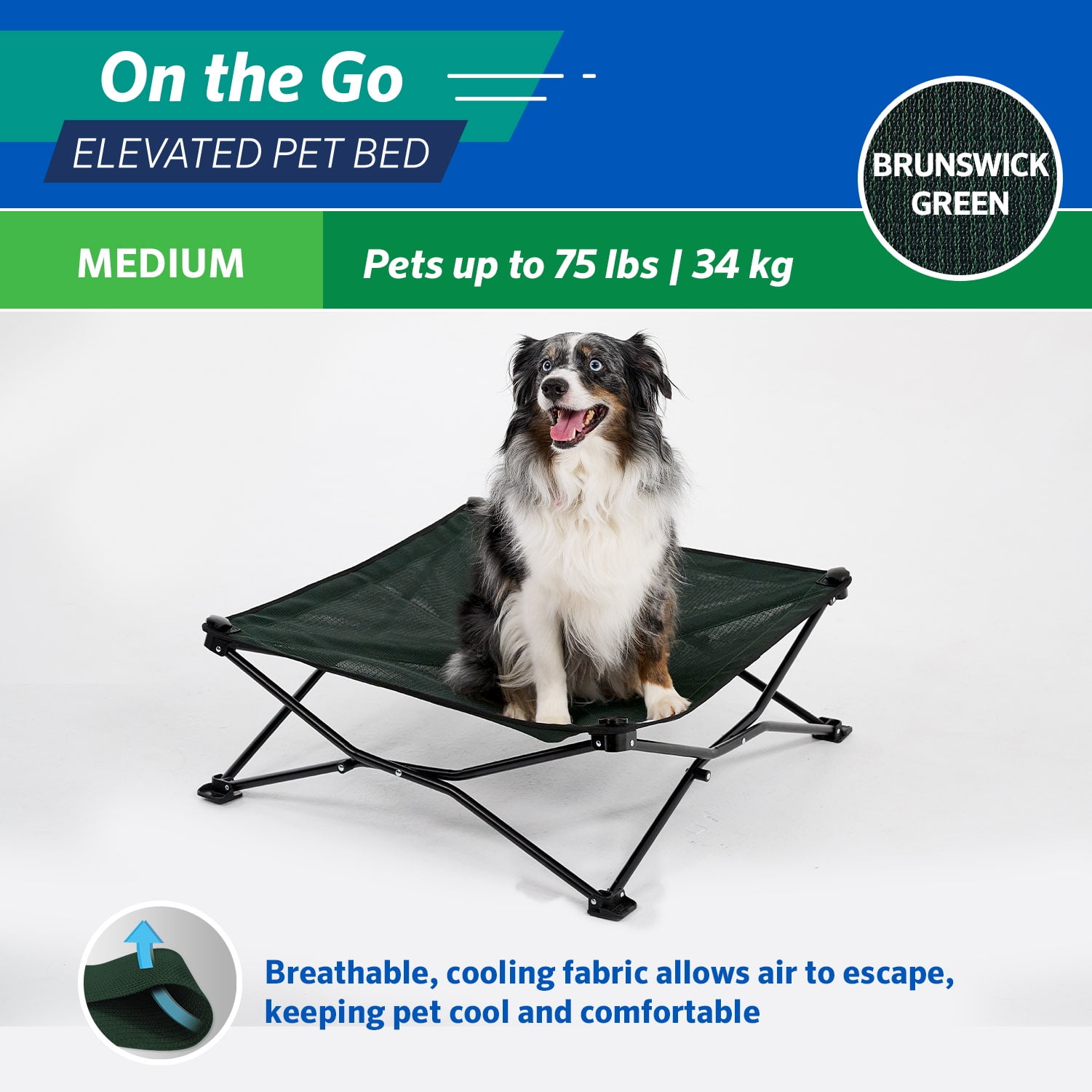 Coolaroo On the Go Elevated Travel Dog Bed, Medium, Brunswick Green - Image 5