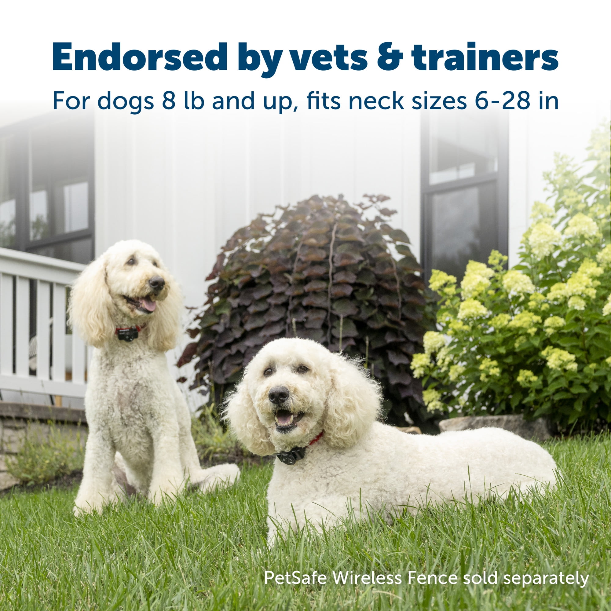 PetSafe Wireless Pet Containment System Receiver Collar for Dogs & Cats +5 lb., Waterproof - Image 4