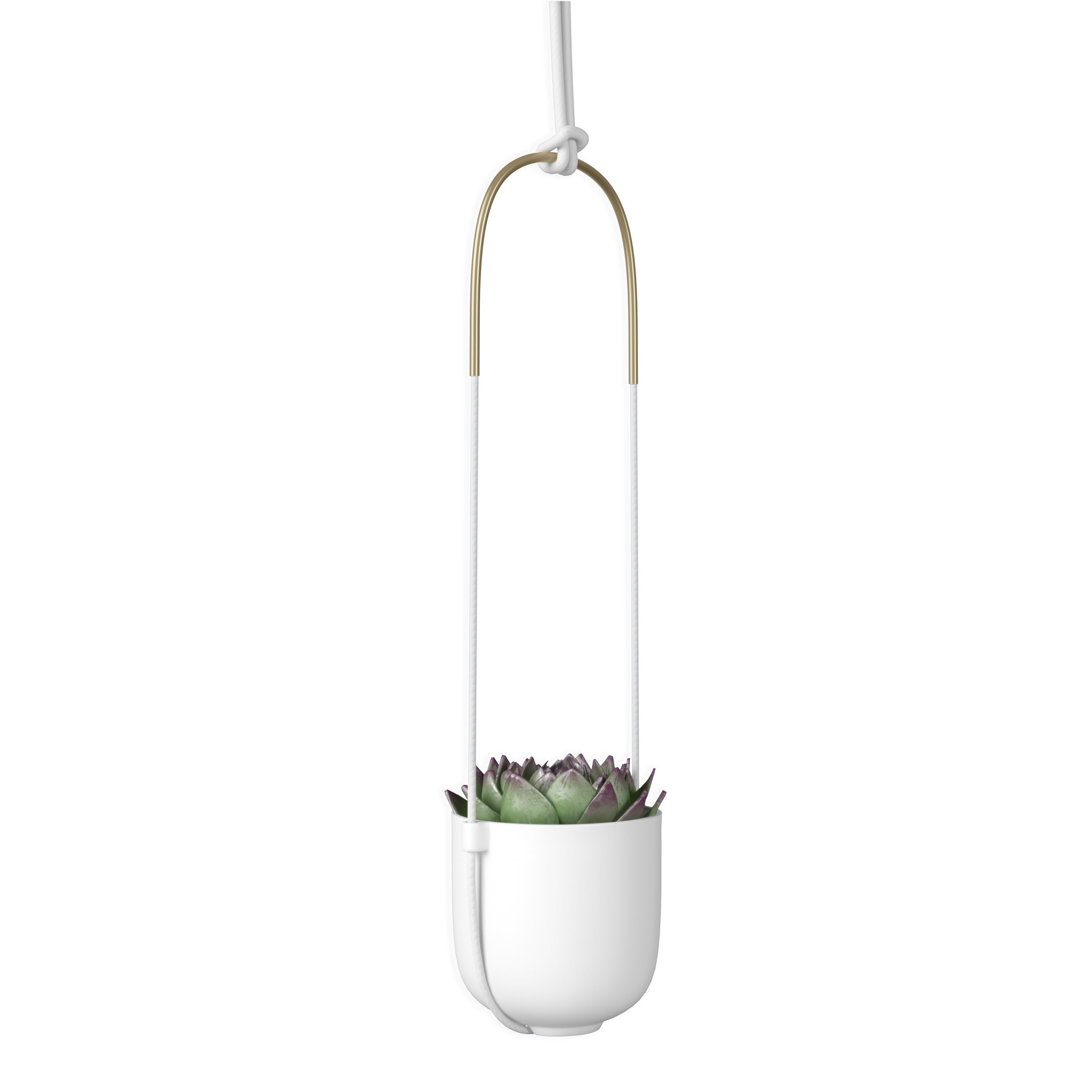 Umbra Bolo Ceramic Hanging Wall Planter White - Image 13