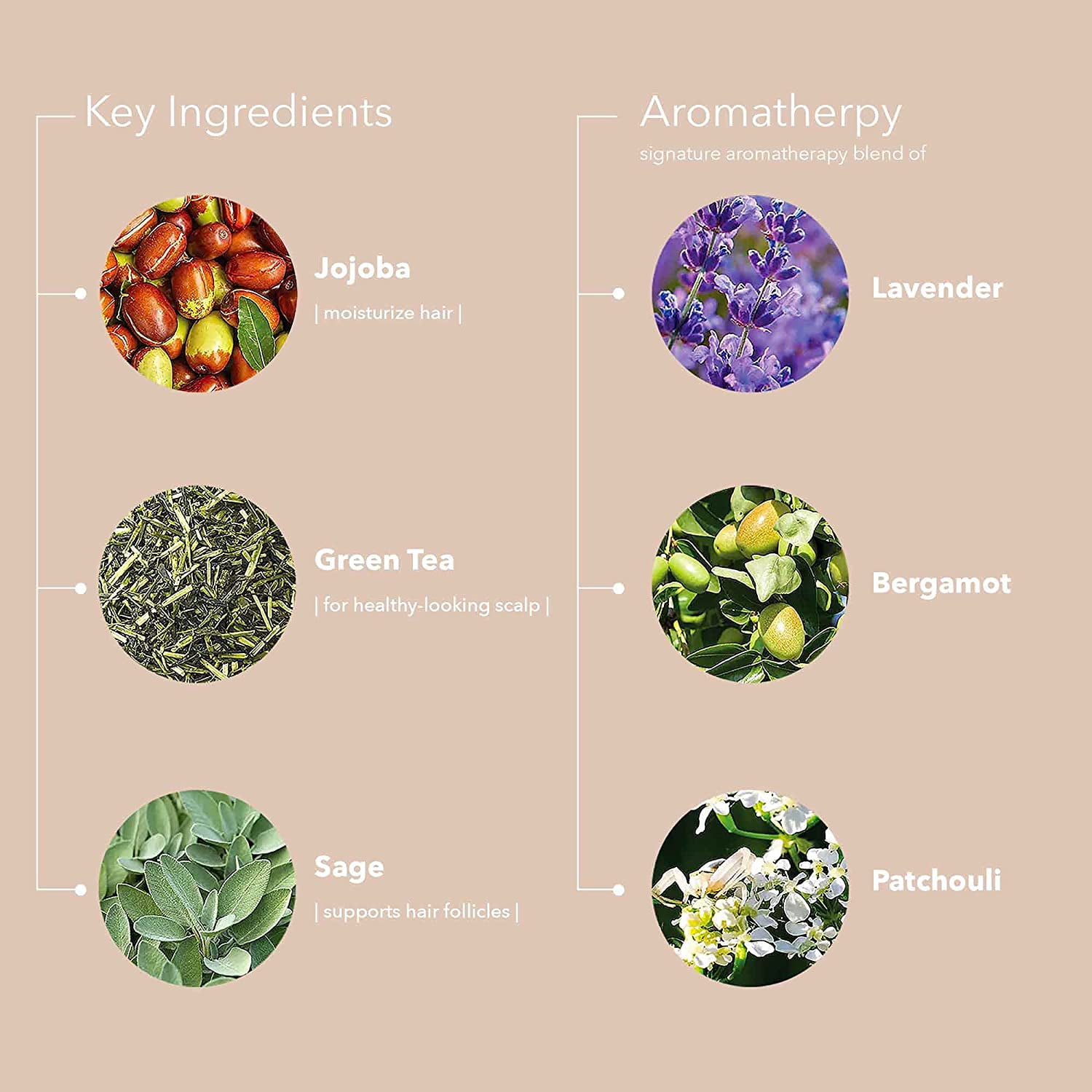 Pureology Hydrate Shampoo, 33.8 oz - Image 4