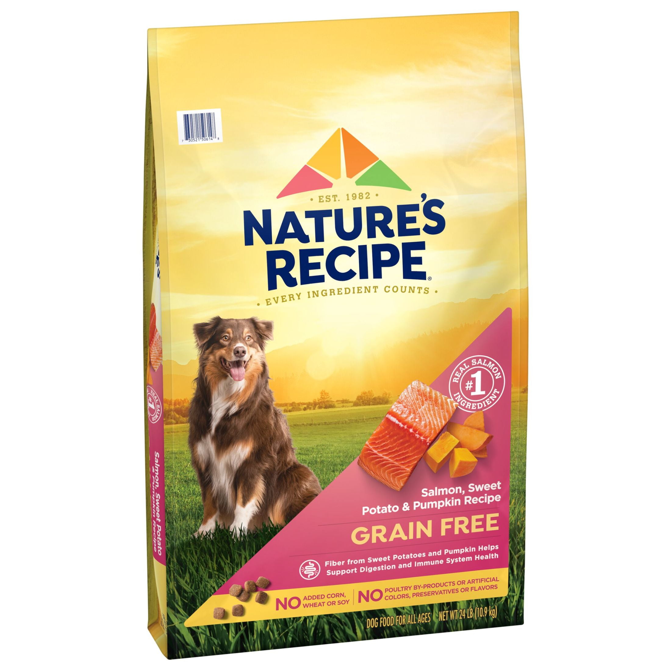 Nature’s Recipe Grain Free Salmon, Sweet Potato & Pumpkin Recipe Dry Dog Food, 24 lb. Bag - Image 2