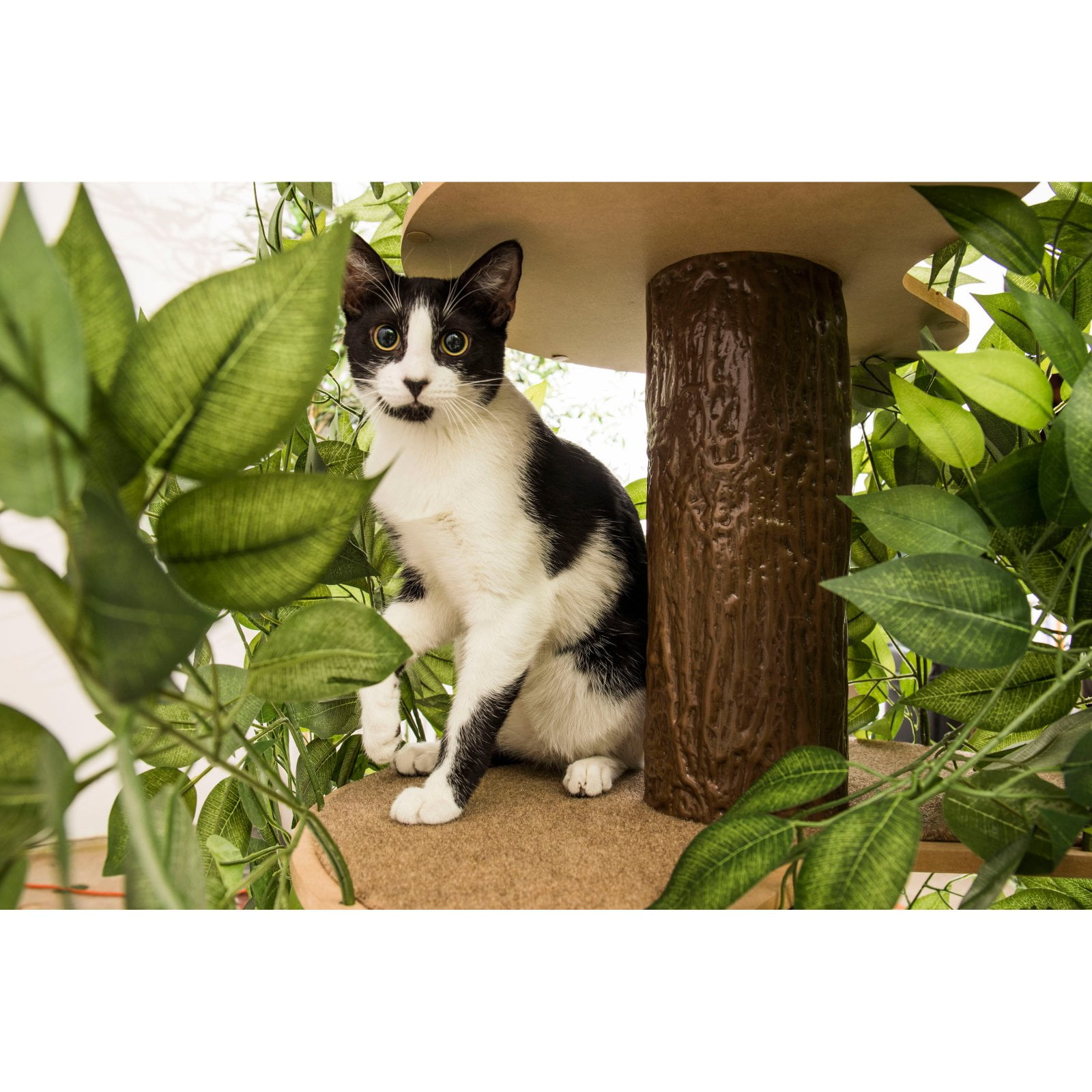On2Pets Cat Tree with Leaves, Cat House & Cat Activity Tree, Multi-Level Cat Condo for Indoor Cats, Square Base - Image 4