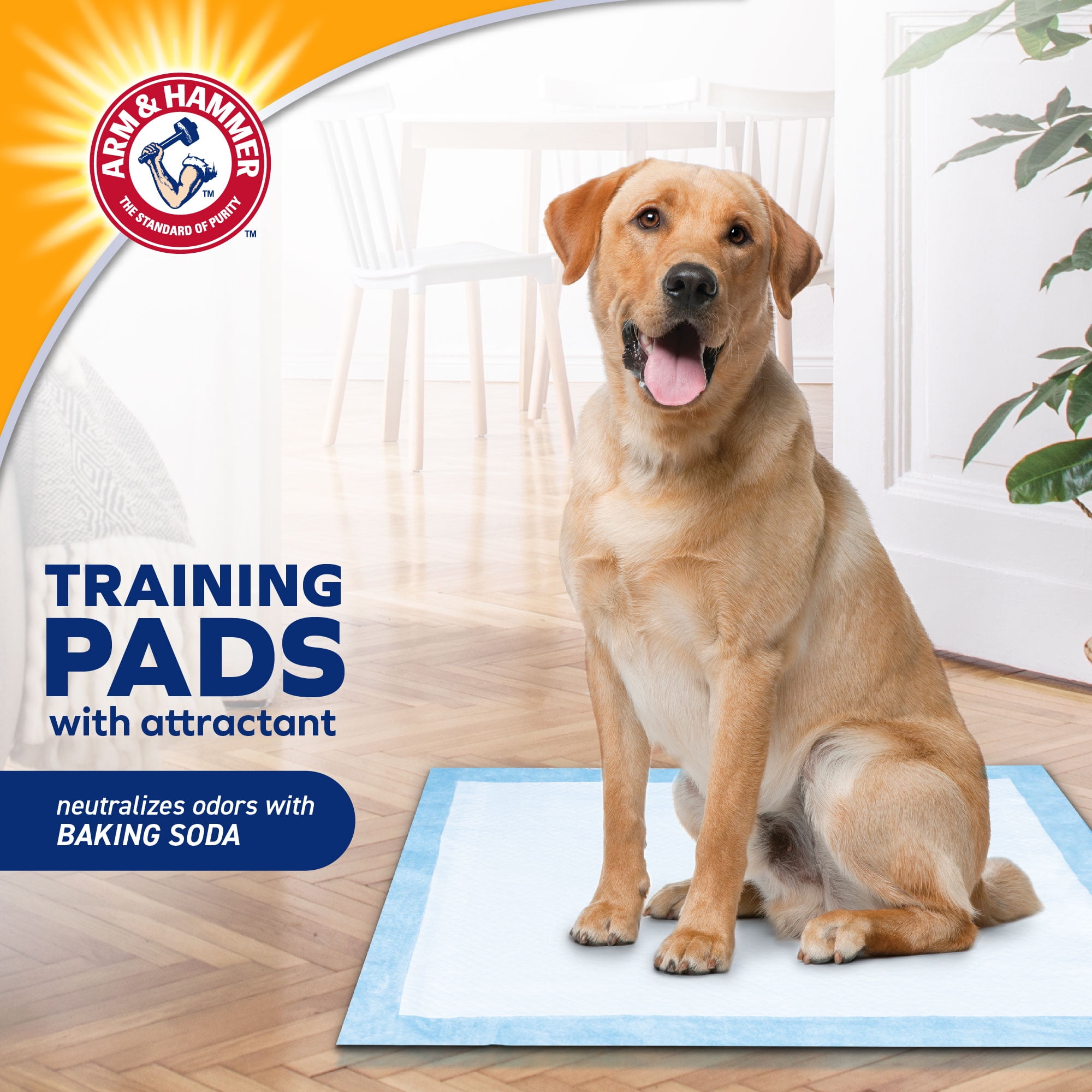 Arm & Hammer for Dogs Puppy Training Pads, 200ct | Odor Control, Leak-Proof Puppy Pads - Image 2