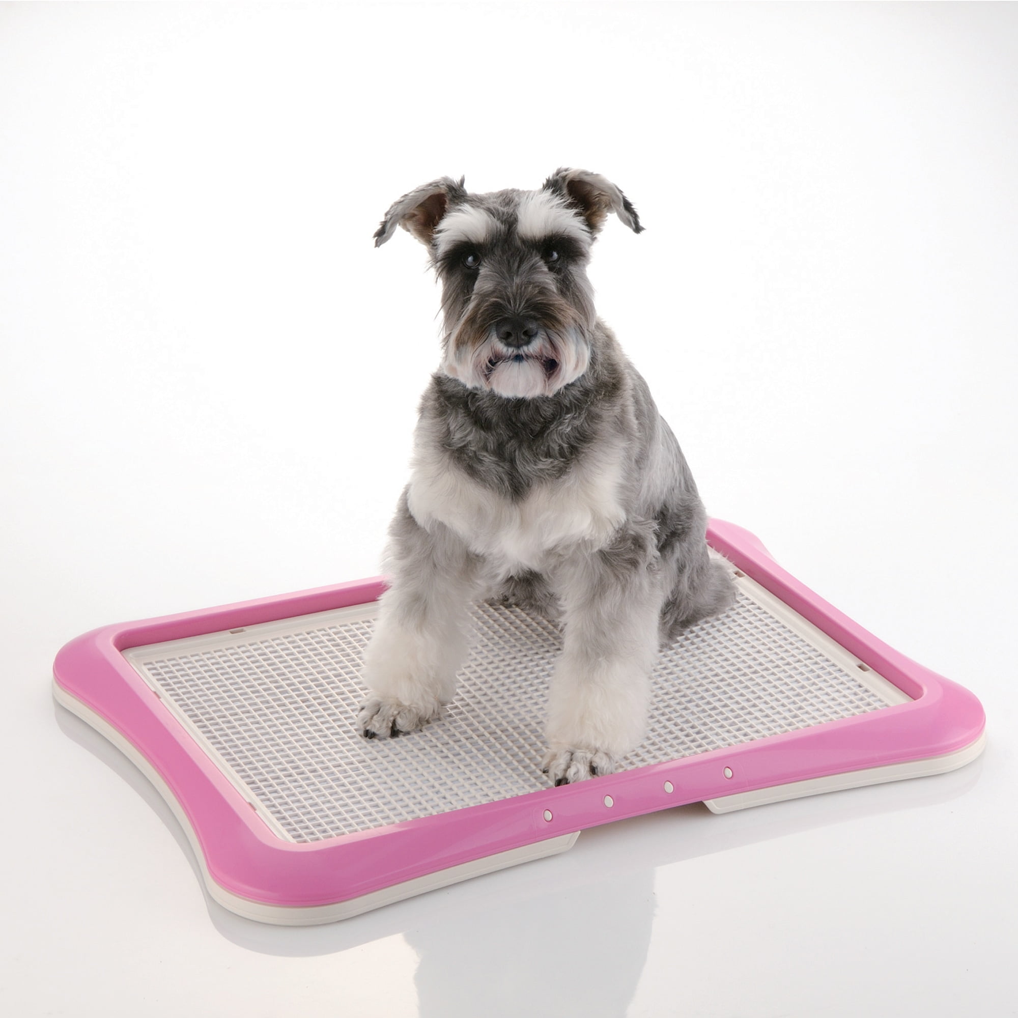 Richell Paw Trax Mesh Training Tray, Potty Training Tray for Dogs - Image 6