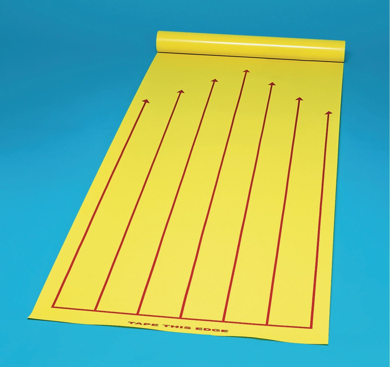 2-in-1 Shuffleboard Court/Bowling Lane - Image 5