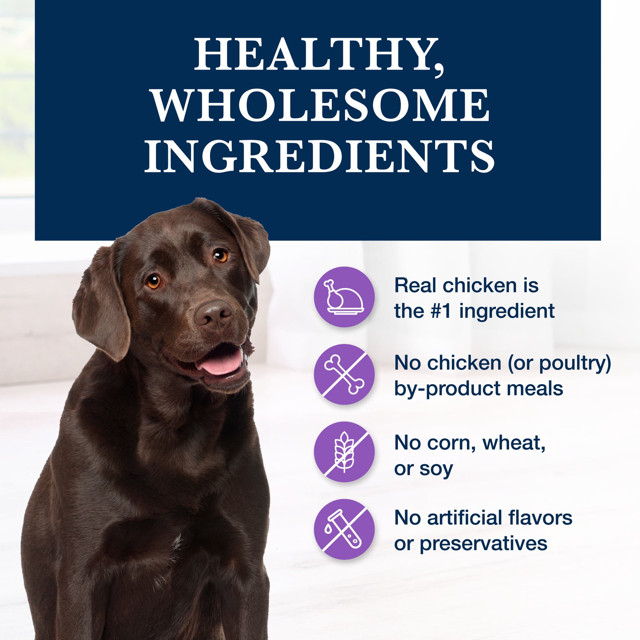 Blue Buffalo NVD Weight Management + Urinary Care Dry Dog Food, Chicken, 22-lb. Bag - Image 3