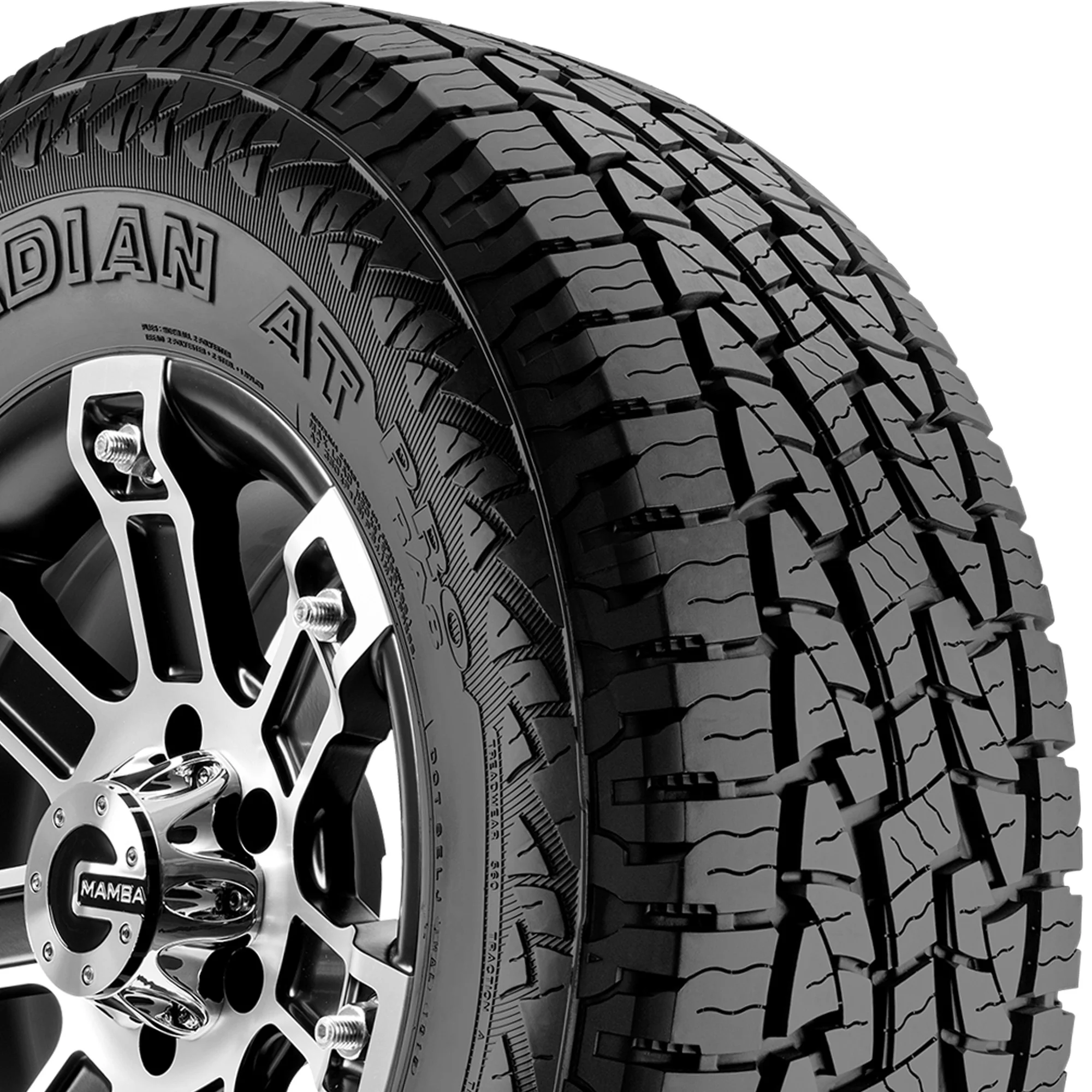 Nexen Roadian AT Pro RA8 All Terrain LT35X12.50R20 125S F SUV/Crossover Tire - Image 2