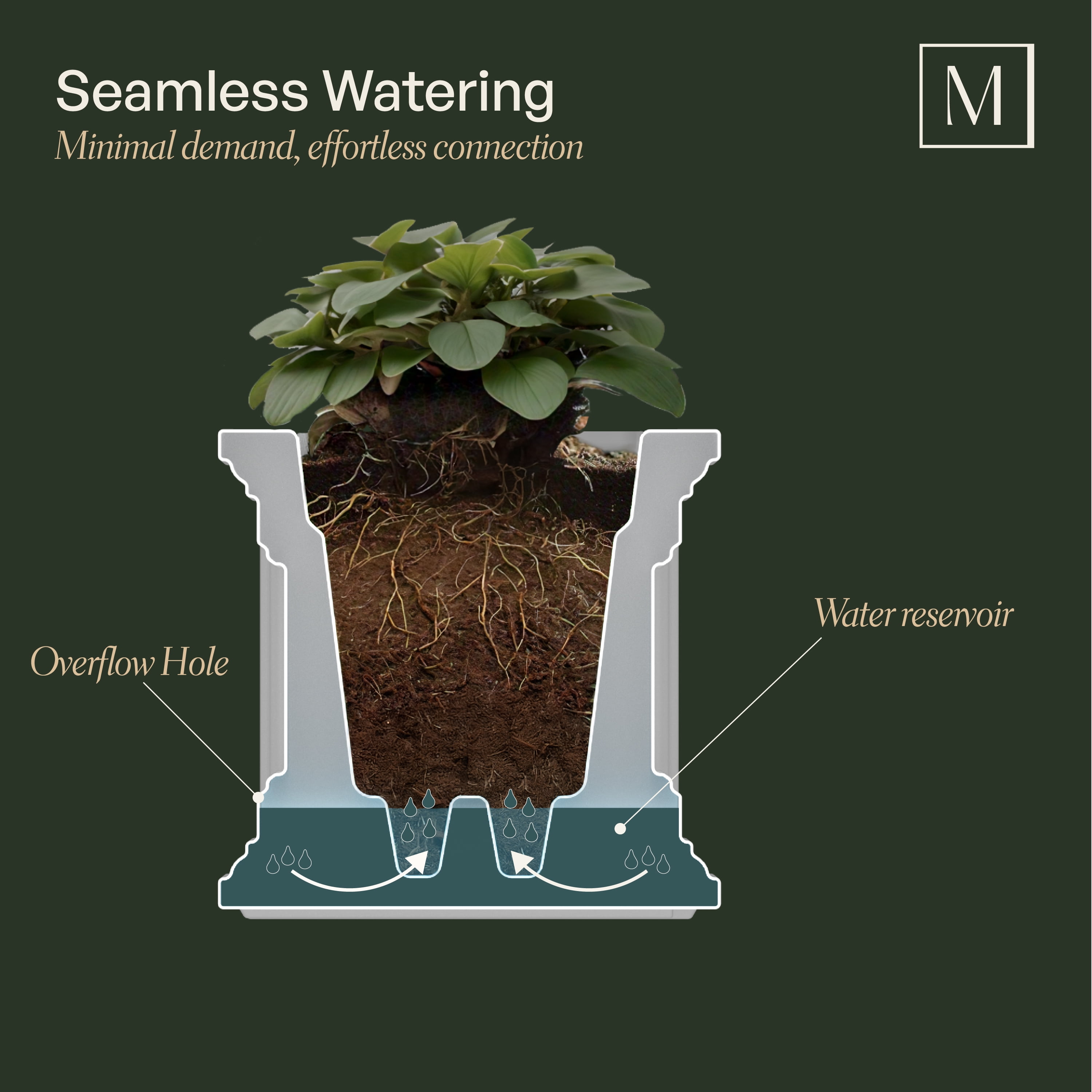 Mayne Fairfield 20" x 20" x 20" Square Espresso Self Watering Plastic Planter - Image 12