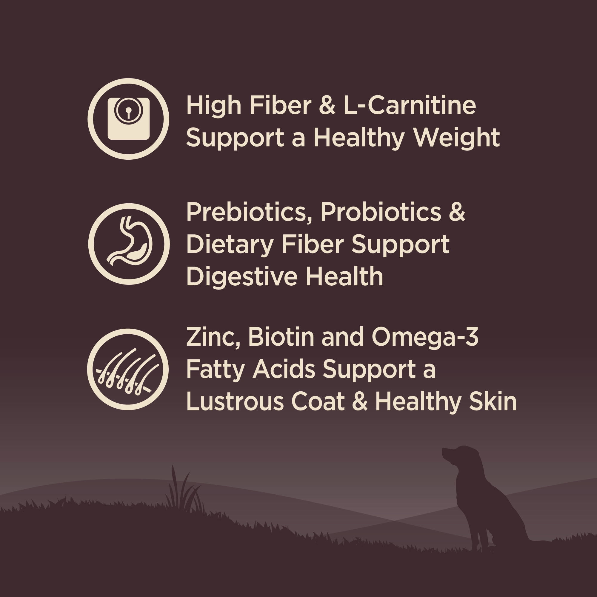 Wellness CORE Dry Dog Food, Grain Free, High Protein, Natural, Healthy Weight Turkey & Chicken Recipe, (26-Pound Bag) - Image 9