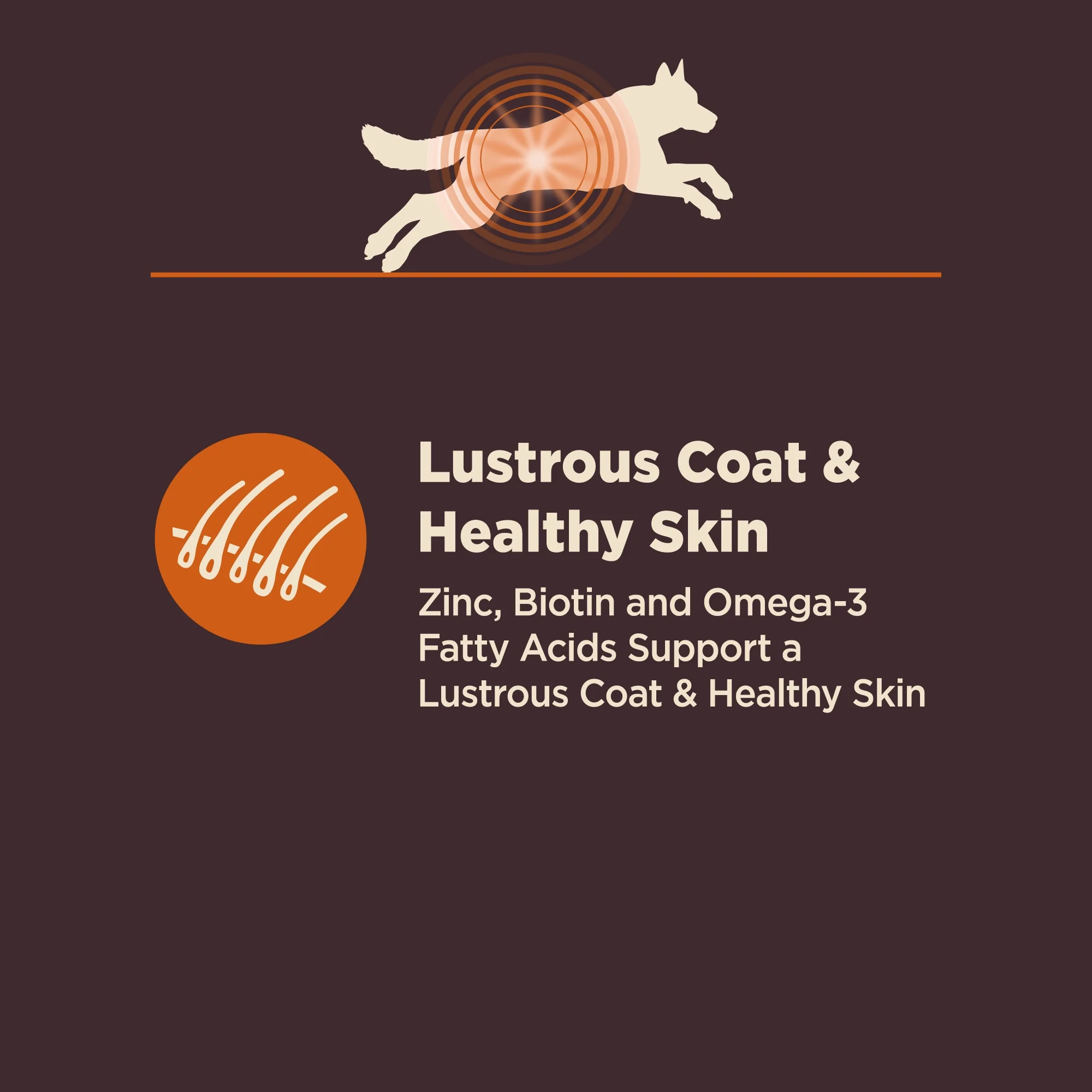 Wellness CORE Digestive Health Dry Dog Food, Wholesome Grains, Natural, High Quality Ingredients for Dogs with Sensitive Stomachs, Chicken Recipe, (24-Pound Bag) - Image 7