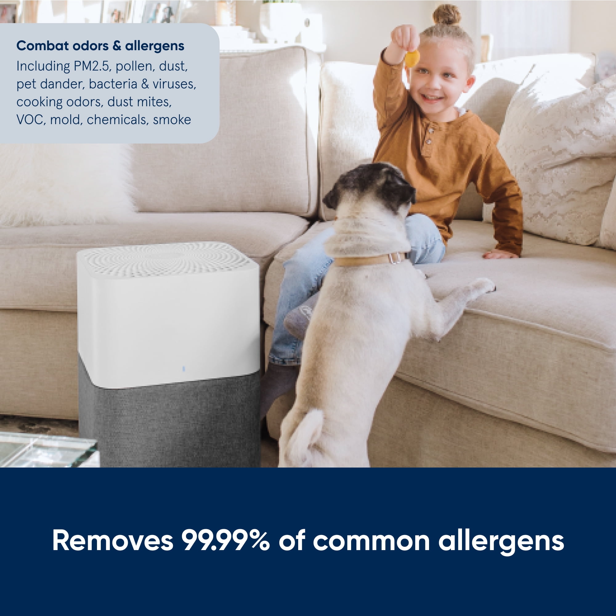 Blue Pure 211+ Auto 100-120V PAC, Arctic Trail, US, CA - Image 11