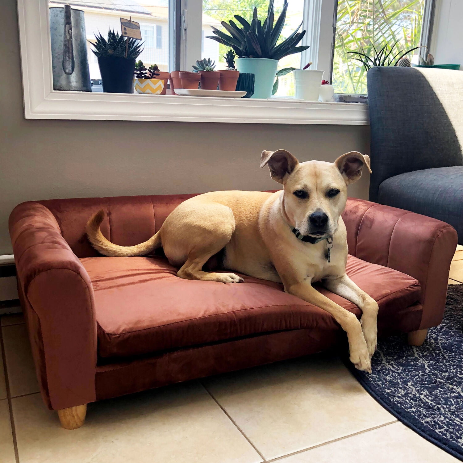 Critter Sitters 42-in. Elegant Brown Faux-Velvet Rectangle Dog Pet Bed - Image 12