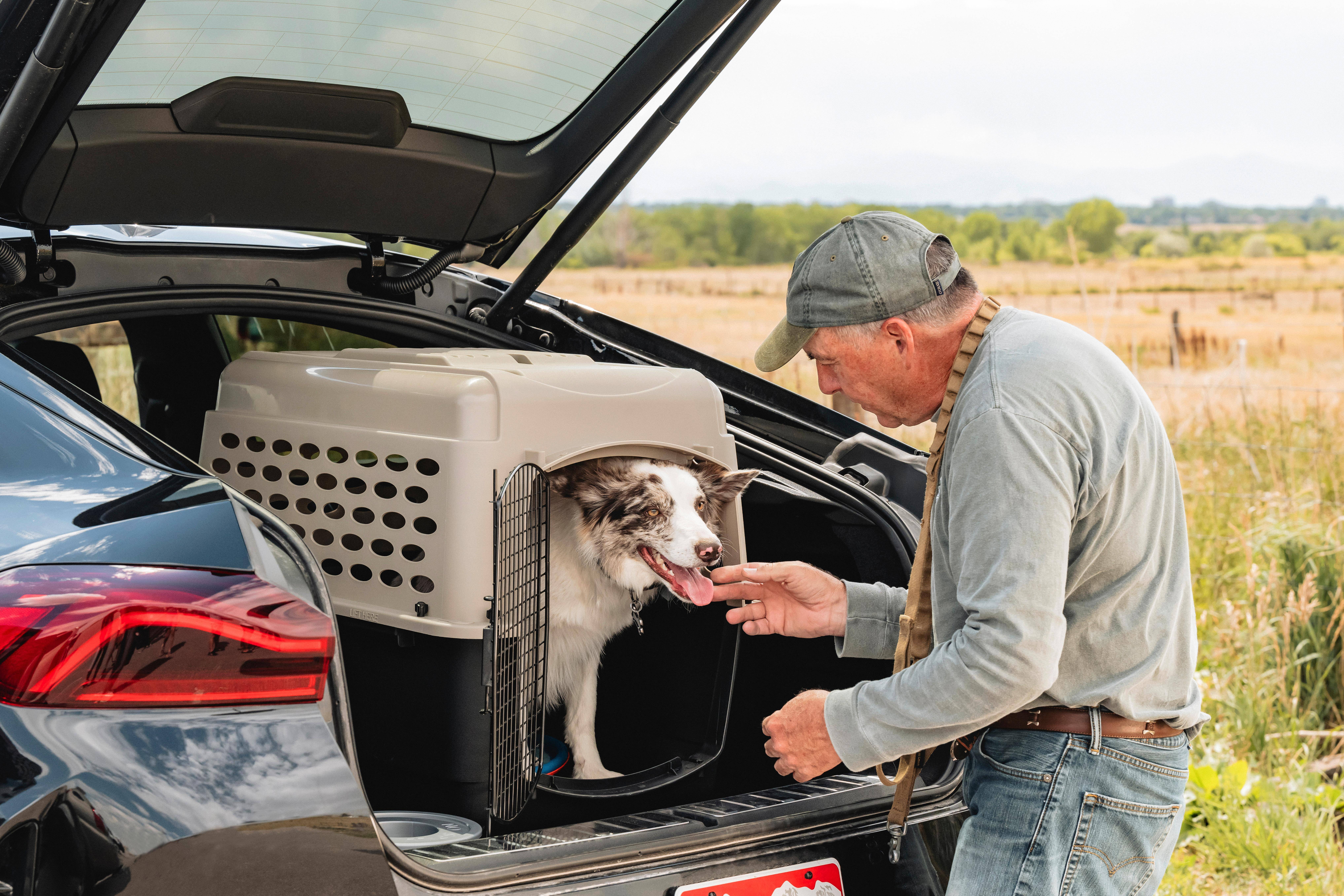 Petmate Vari Medium Plastic Portable Dog Kennel Airline Friendly Pet Carrier, 32" for Pets 30-50 lb, Taupe/Black - Image 2
