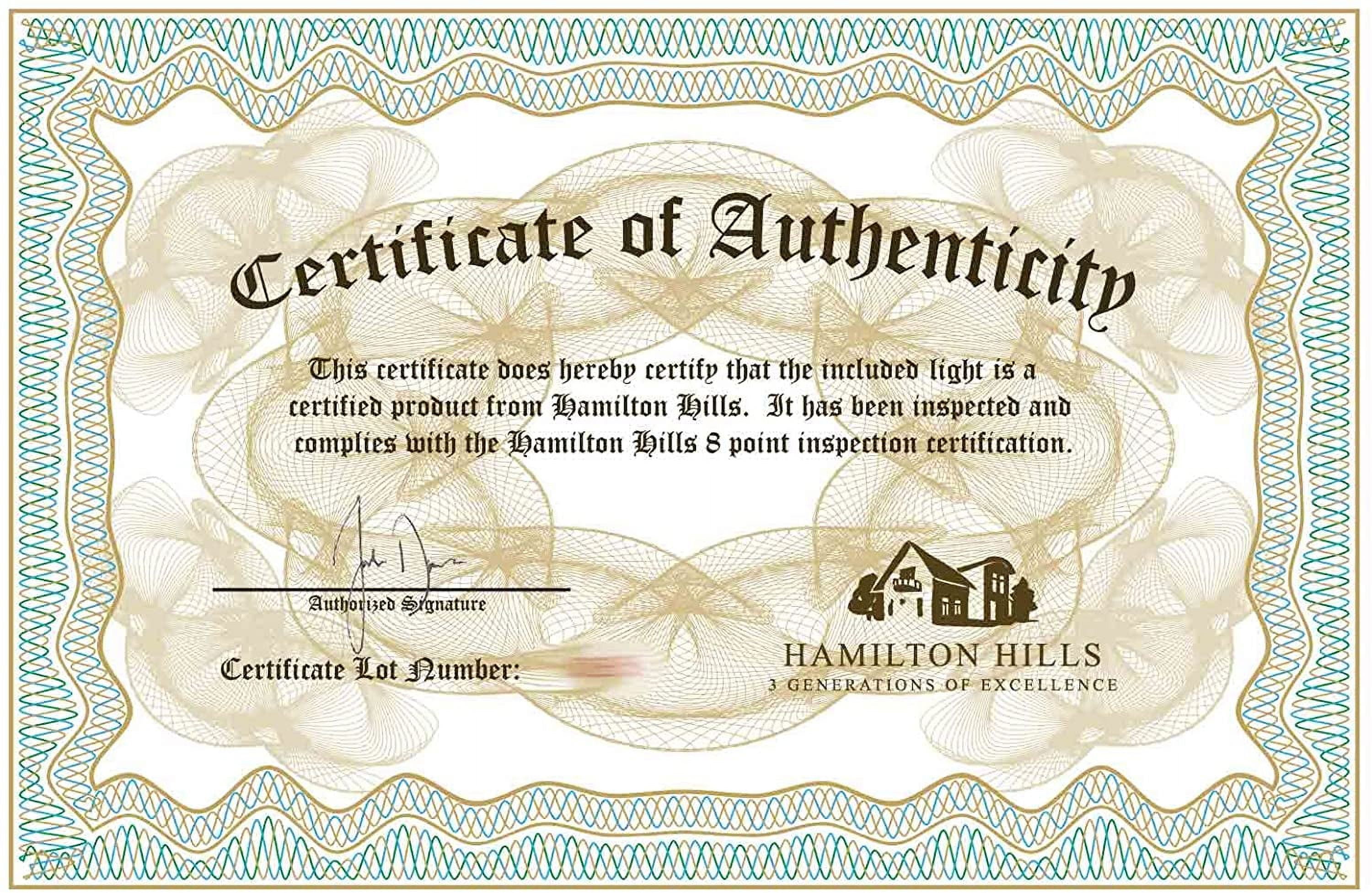 Hamilton Hills Flush Mountmodern Outdoor Wall Sconce Squared 14" Bright Clean - Image 5