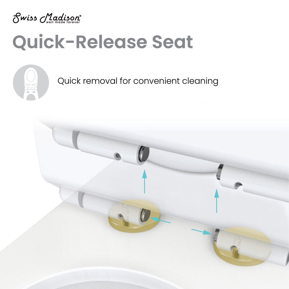 Chateau One Piece Elongated Toilet Dual Flush, Brushed Gold Hardware 1.1/1.6 gpf - Image 5