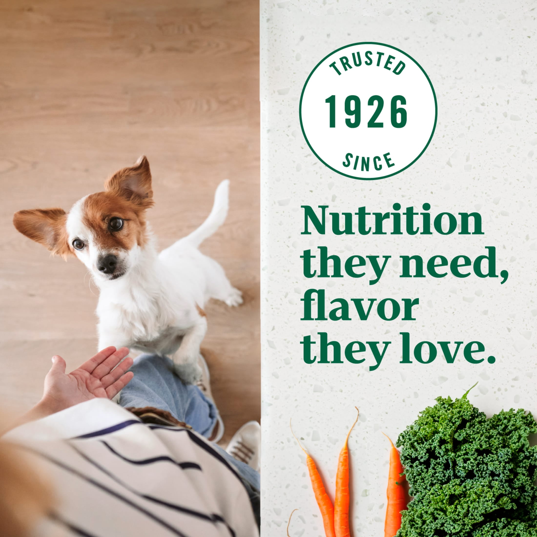 Nutro Ultra Adult Small Breed Dry Dog Food, Chicken, Lamb and Salmon Protein Trio, 22 lb Bag - Image 3