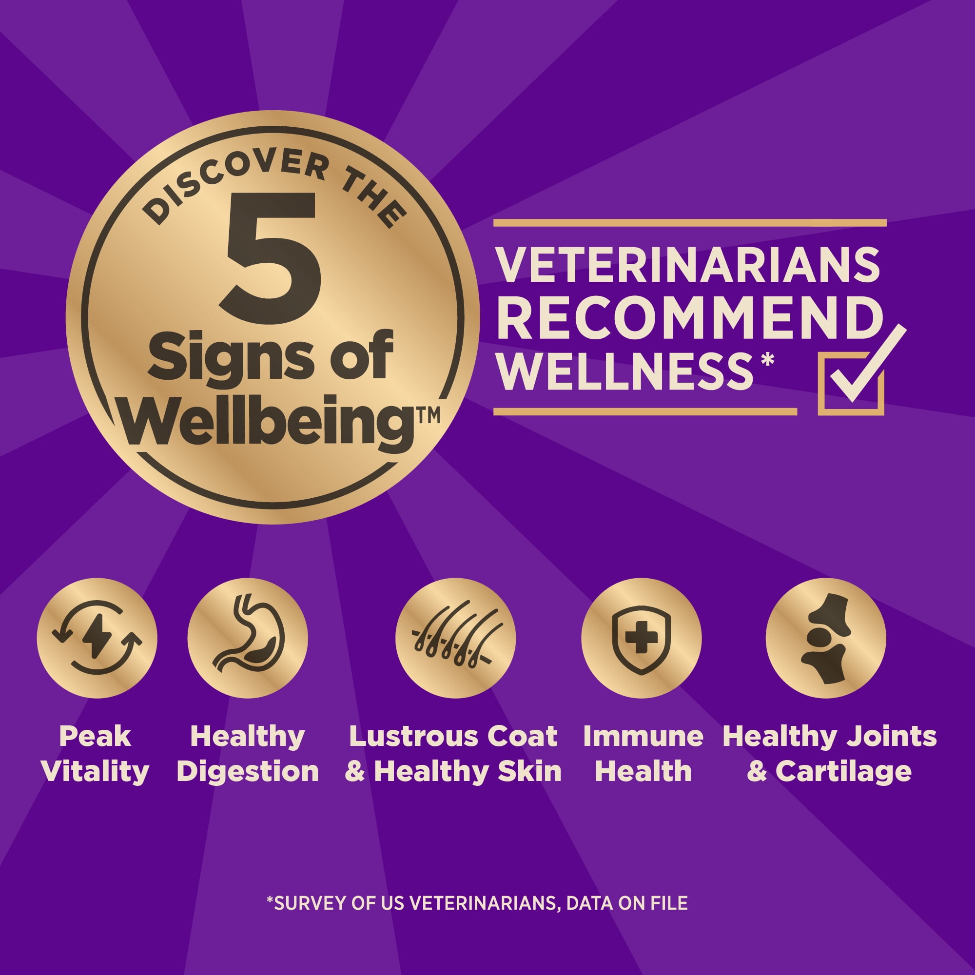 Wellness CORE+ (Formerly RawRev) Dry Dog Food with Freeze Dried Pieces, Grain Free, High Protein, Natural, Ocean Whitefish, Herring, & Salmon Recipe, (10-Pound Bag) - Image 2