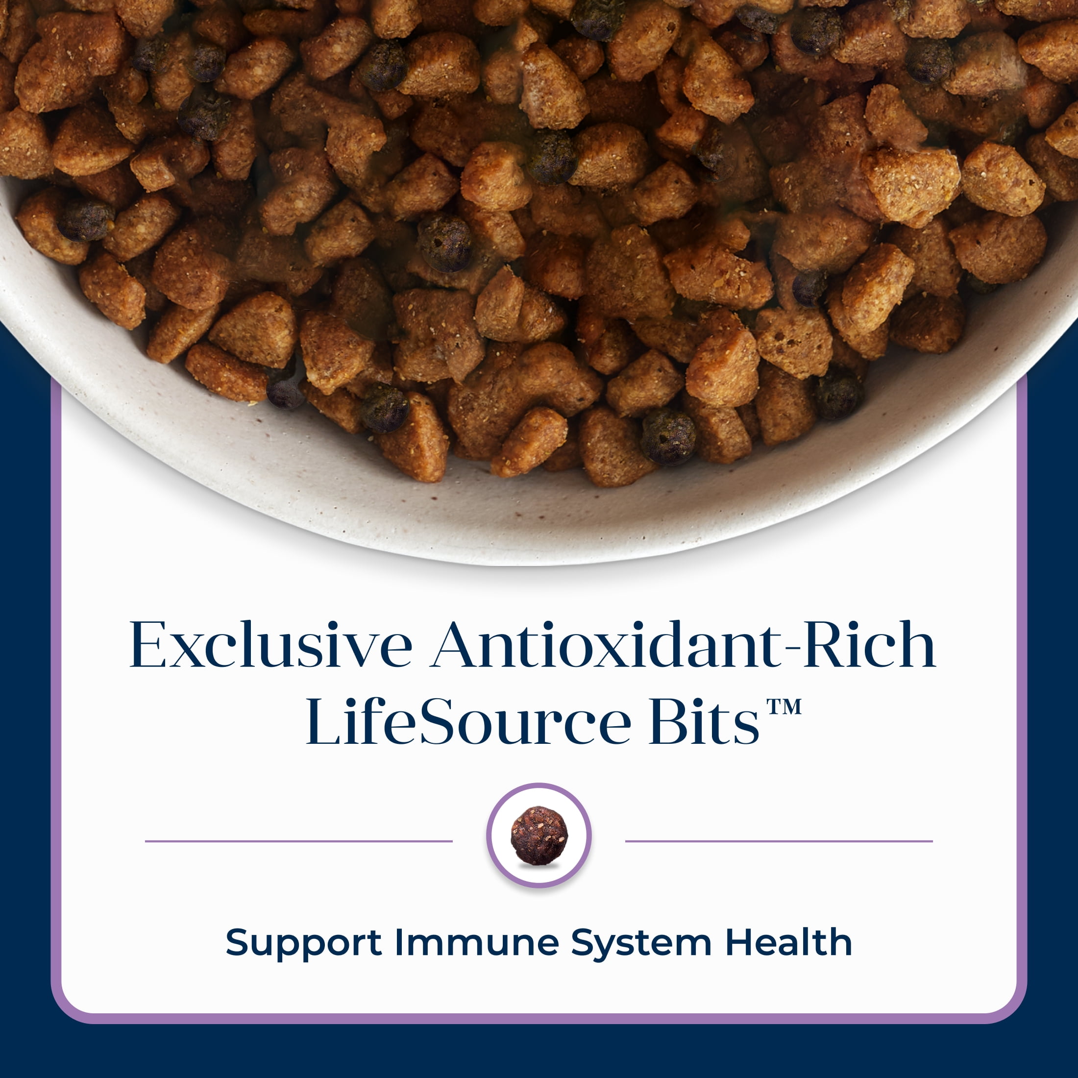 Blue Buffalo Basics Dry Dog Food for Puppies, Limited Ingredient Diet, Turkey, 24 lbs. - Image 7