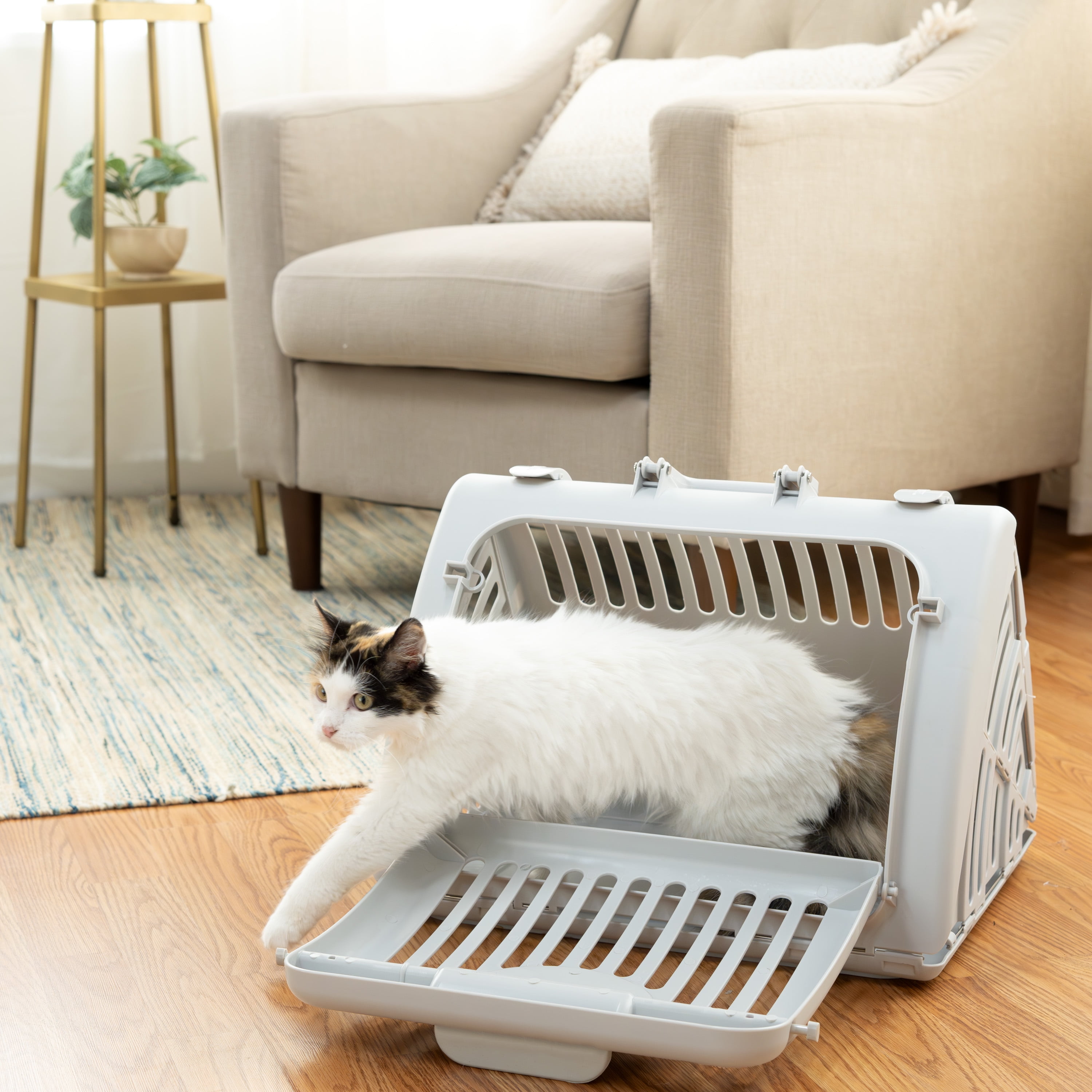 (4 pack) Vibrant Life Foldable Plastic Travel Cat Carrier, Gray, One Size - Image 6