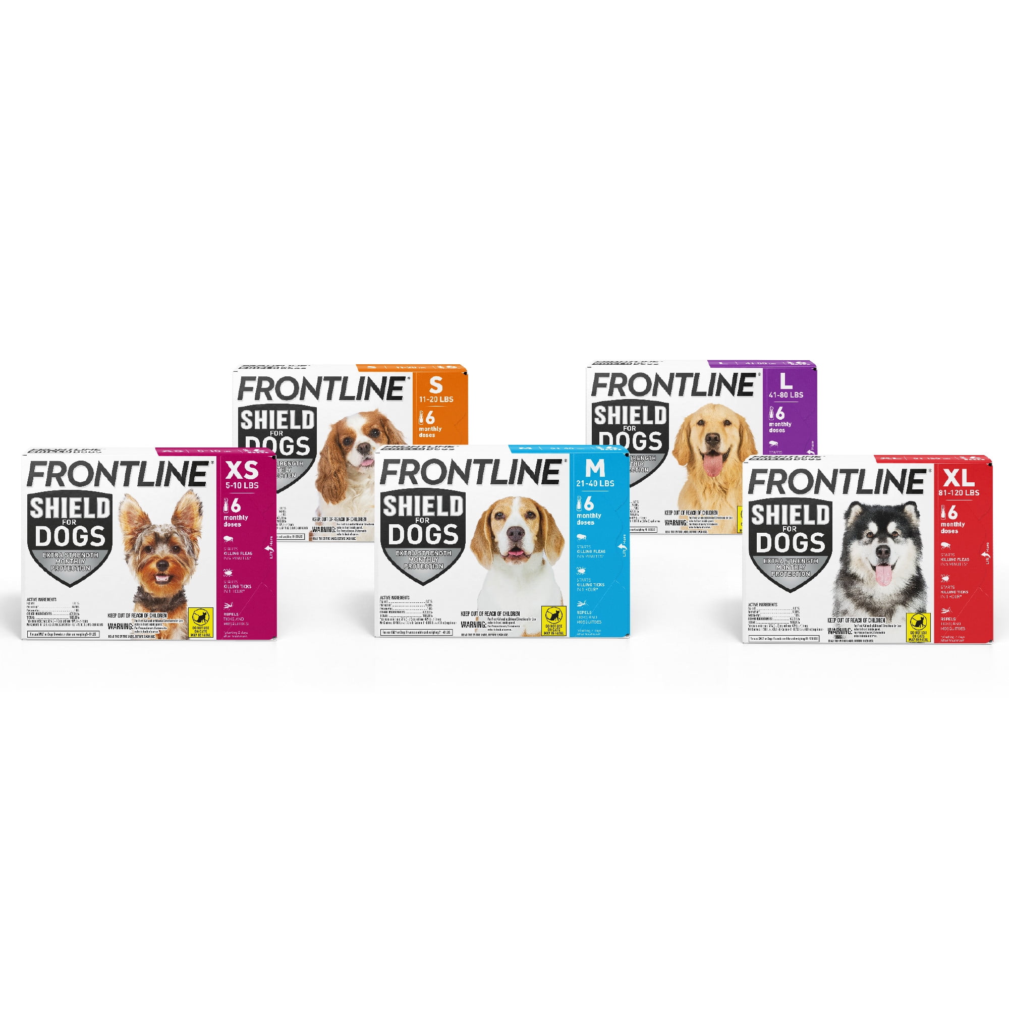 FRONTLINE Shield Flea & Tick Treatment for Dogs, 21-40 lbs, 6 Count (Box) - Image 6