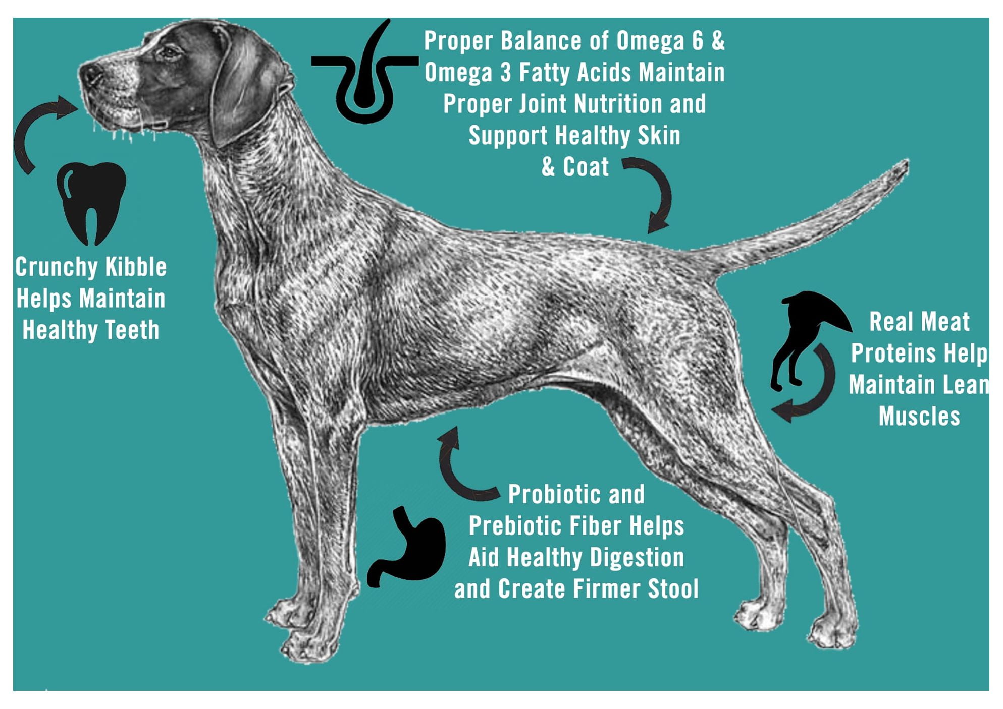 Chicken Soup for the Soul Weight Care Adult Dog - Brown Rice & Chicken, Turkey Dry Dog Food, 28 lb - Image 10
