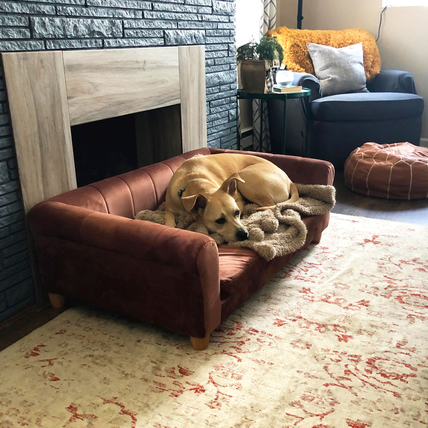 Critter Sitters 42-in. Elegant Brown Faux-Velvet Rectangle Dog Pet Bed - Image 6