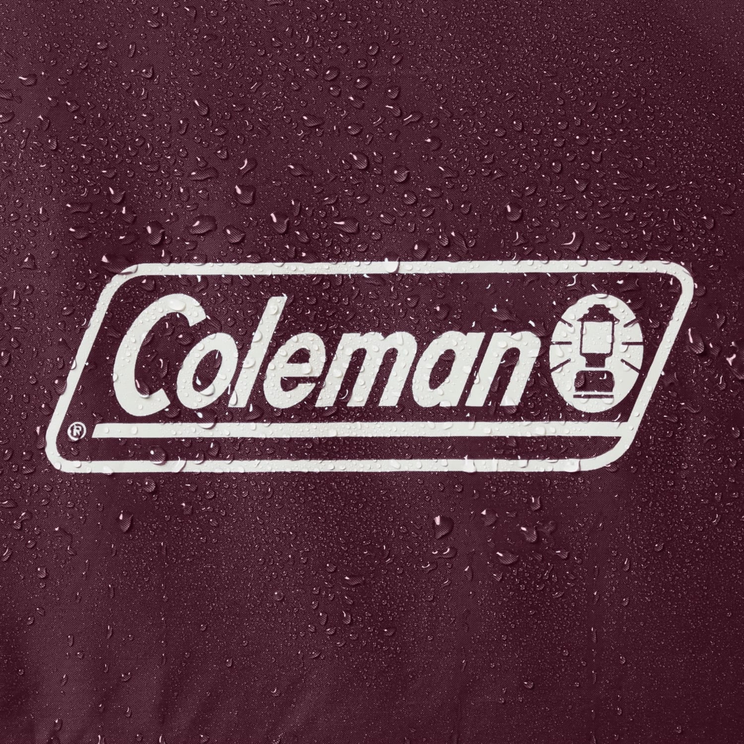 Coleman 6-Person Skydome Camping Tent, Blackberry - Image 3